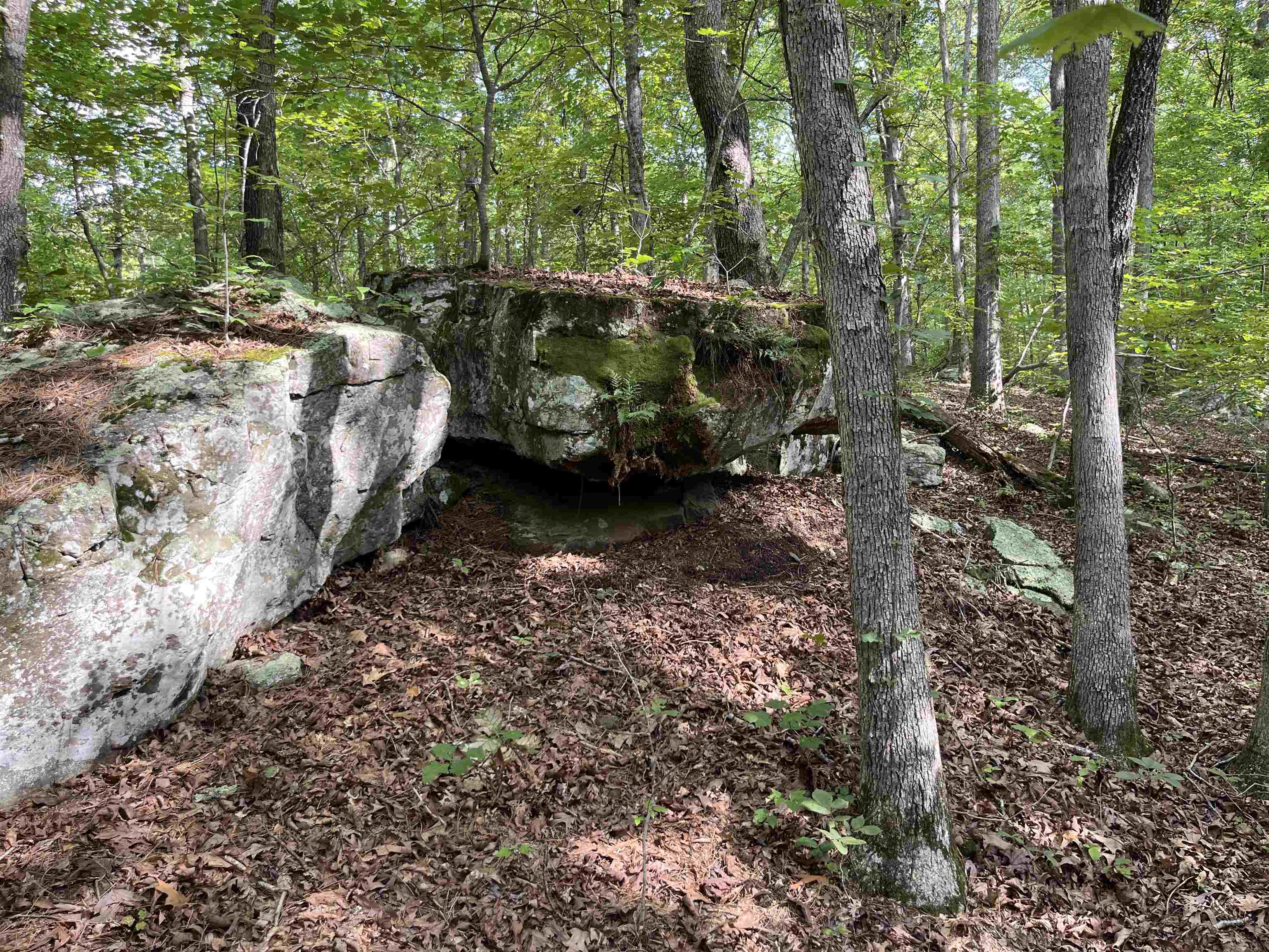 Metes & Bounds - Land