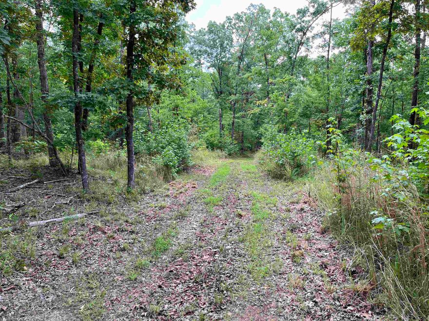 Located on Little Red River Rd, Marshall, AR, in the heart of Arkansas' natural beauty is 36.10 acres of recreational and hunting land for sale. It has a good stand of hardwood timber making a great habitat for wildlife including whitetail deer, turkey and bear as well as small game. The deer stand already in place will convey. For the outdoor enthusiast, there is a road that goes through the property for ATVs and potential for making more trails. A wet weather creek with a spring is also a feature. Rock formations present also provide more natural beauty for your enjoyment. The land borders the county road with access and the present owner has purchased (2) culverts to be installed for easier access and these will convey. A new 10' x 16' storage building  is available as well. Power and high speed internet and rural water are available nearby. Whether you're seeking a serene retirement spot, a weekend getaway, or a full-time residence, this property has unlimited potential. Call to schedule an appointment today!