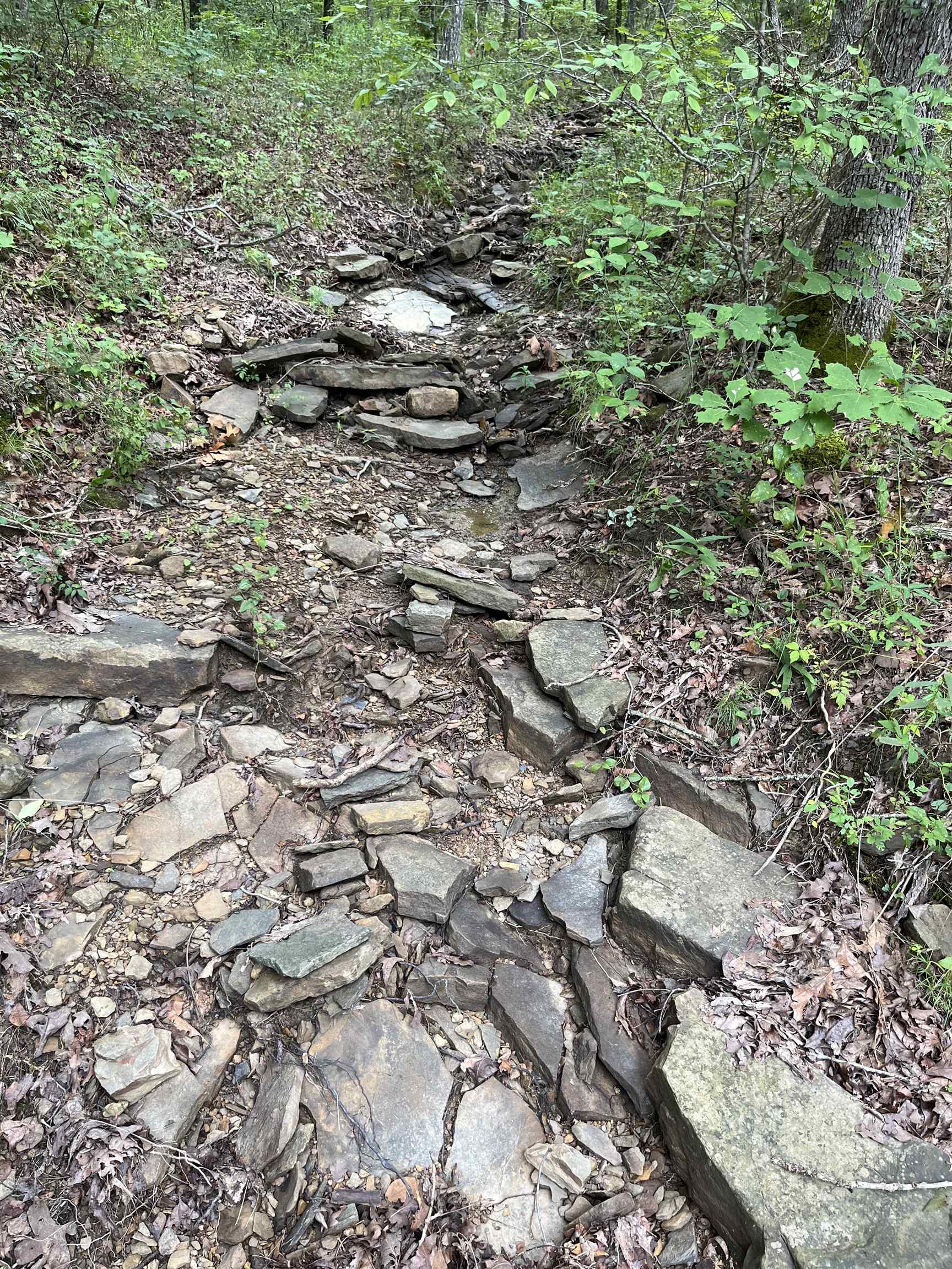 Metes & Bounds - Land