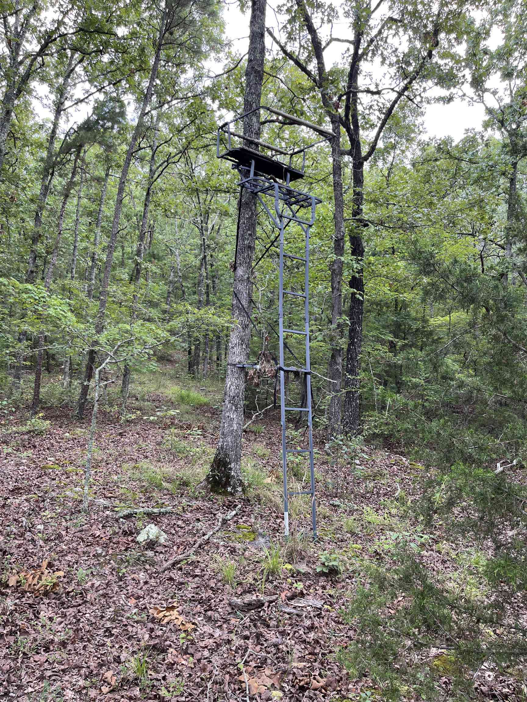 Metes & Bounds - Land