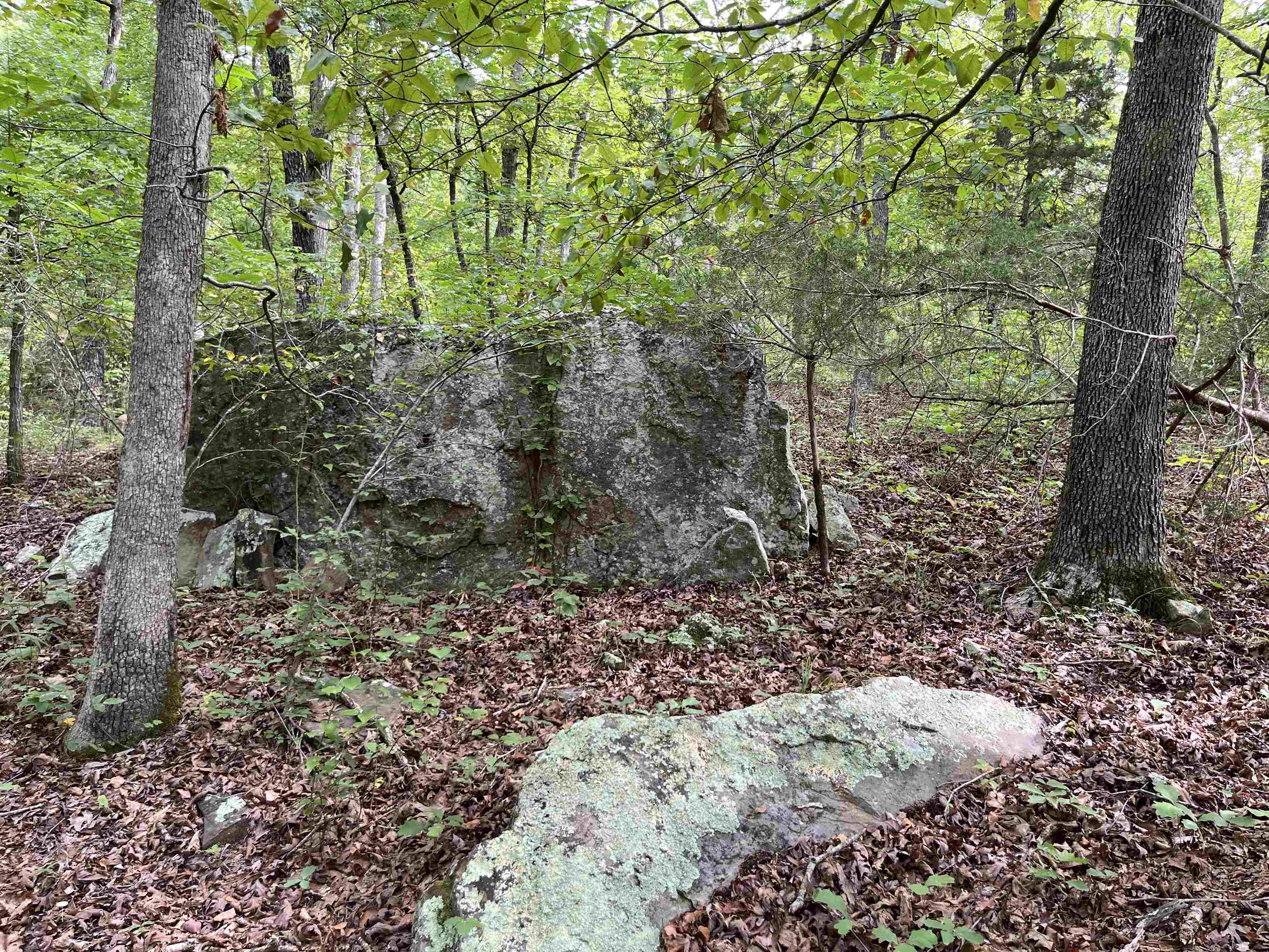 Metes & Bounds - Land