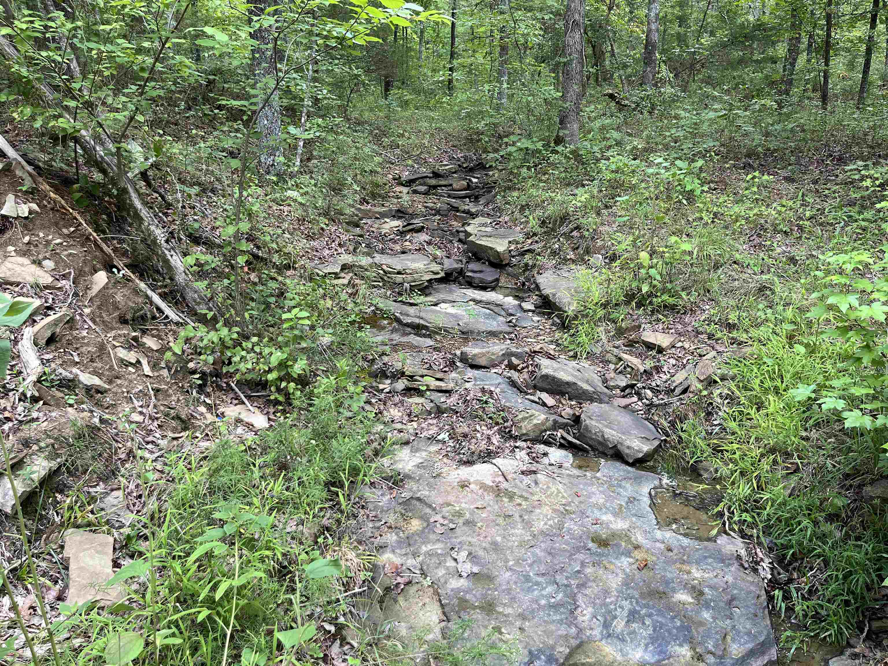 Metes & Bounds - Land