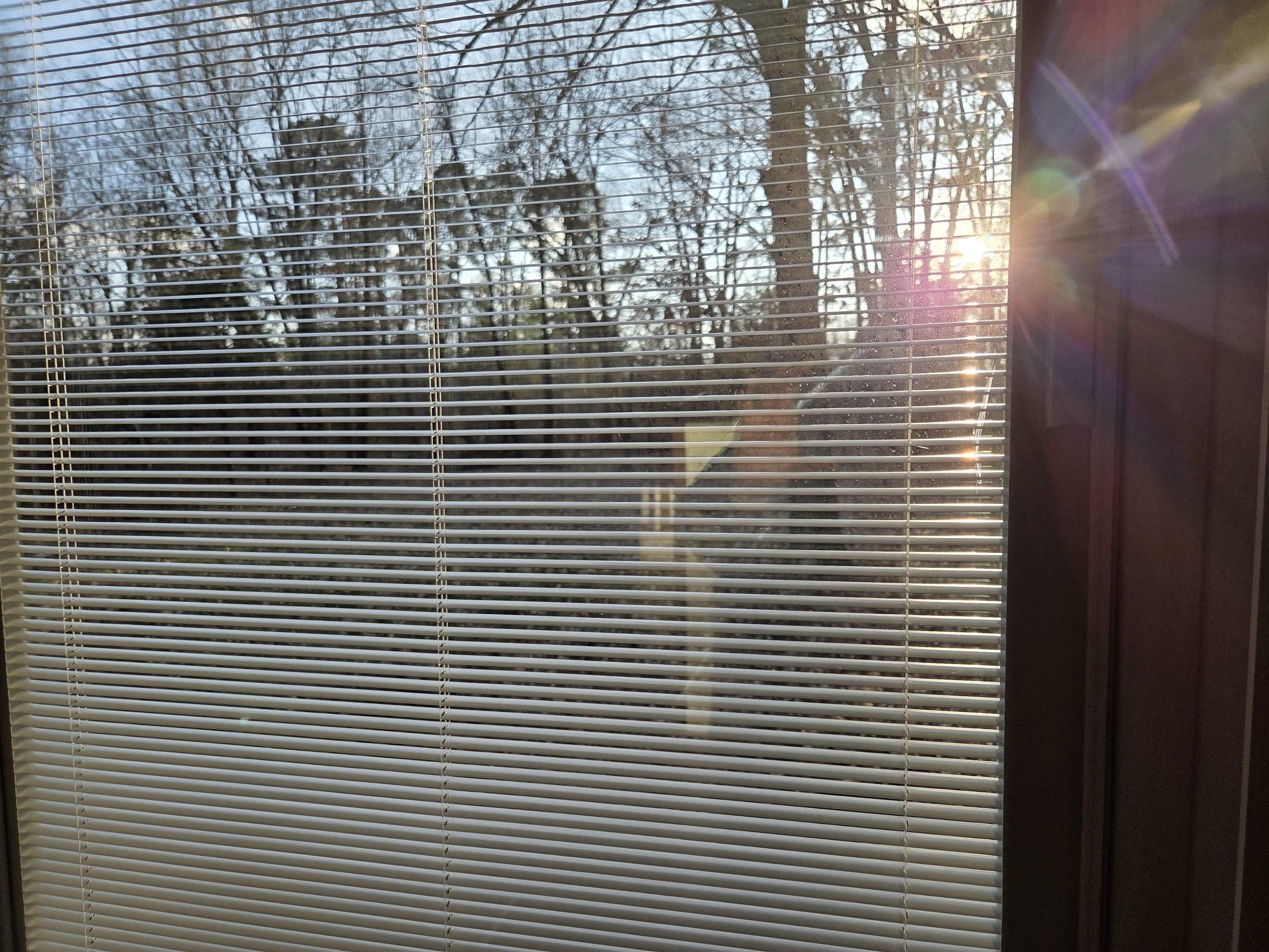 Navasota - Residential