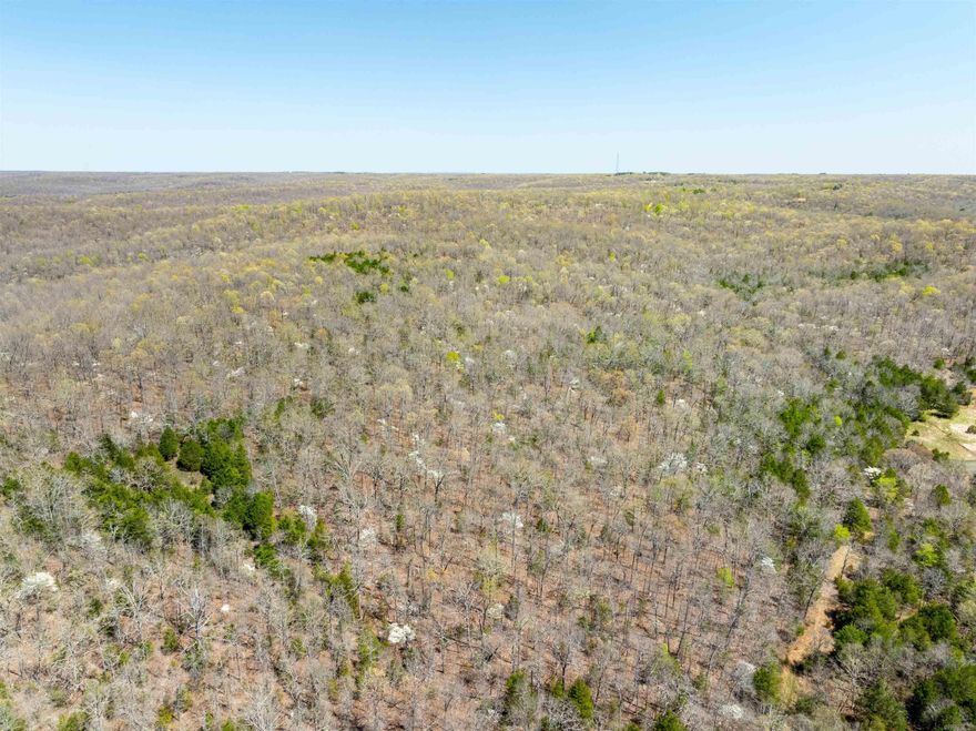 Hunter’s Paradise  If you’ve been dreaming of the perfect hunting getaway, this 40± acre wooded tract just outside of Hardy, Arkansas is exactly what you’ve been waiting for. Secluded and private, yet easily accessible with a legal easement, this property offers a rare mix of convenience and backwoods beauty.  This is a true hunter’s paradise, loaded with Whitetail deer and large Tom turkeys. The timber provides excellent cover and bedding areas, making it ideal for setting stands or blinds. Whether you're chasing that spring gobbler or a big buck in the fall, this place is primed for action.  Located just about an hour from Jonesboro and only minutes from the historic town of Hardy, you’ll have the best of both worlds—peaceful seclusion with modern convenience close by. Spend your mornings in the woods, your afternoons floating the Spring River, and your evenings around a campfire with the family.  This property could make a great camp site, weekend retreat, or private hunting base—and it’s close enough to enjoy often.  We’re your local land specialists, and we’re here to help you find your favorite place to hunt, relax, and invest in the great Ozarks! Easement road into it.