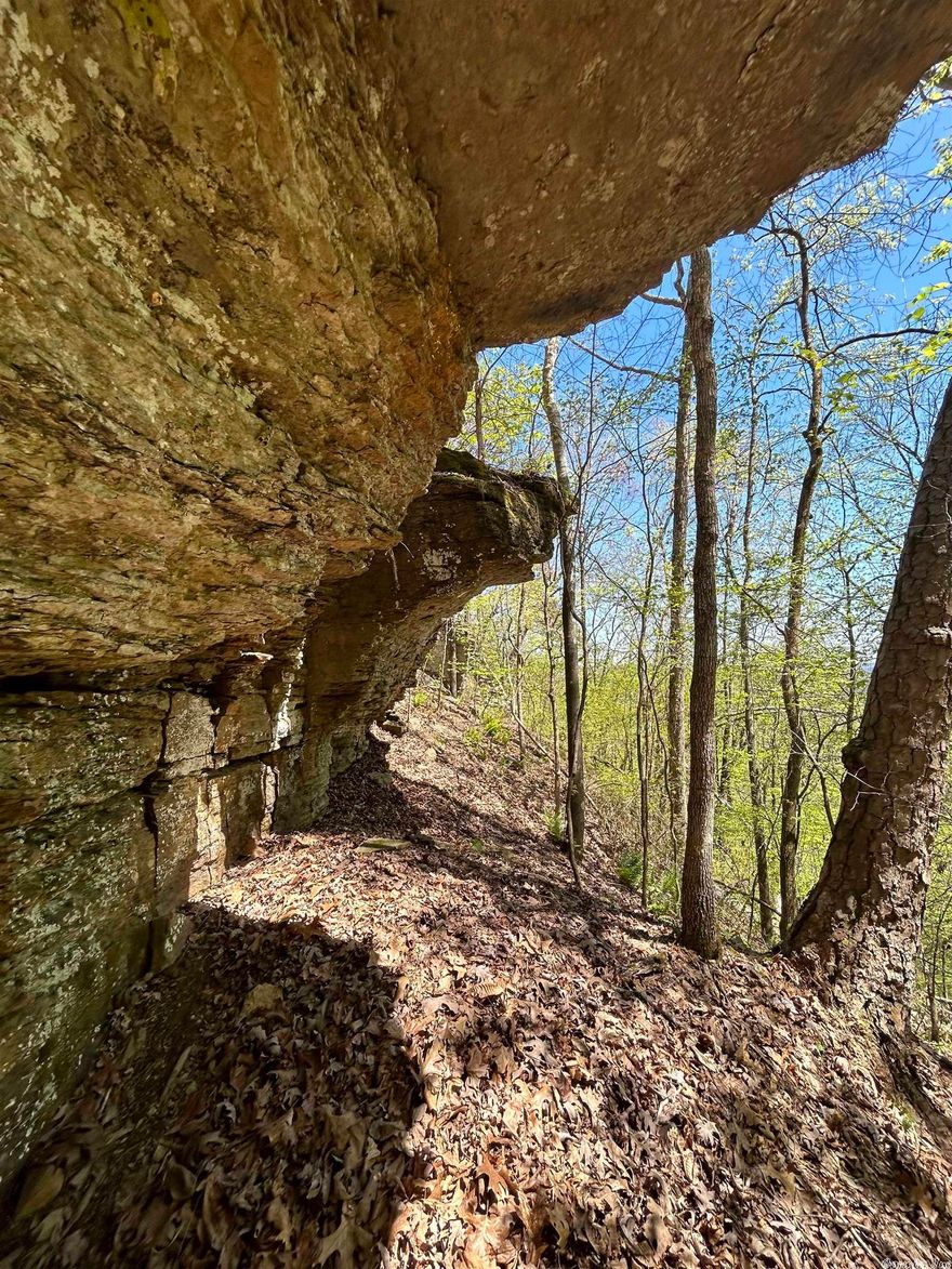 Beautiful piece of the Ozark Mountains! This property has two wells, electric, three seasonal creeks, awesome rock formations, a carport for an RV, and has a variety of mature trees.  It is very close to the Archey Fork of the Little Red. Only one neighbor that lives down the road, this land offers a 5 minute drive to town, yet the privacy and seclusion that is very desirable.