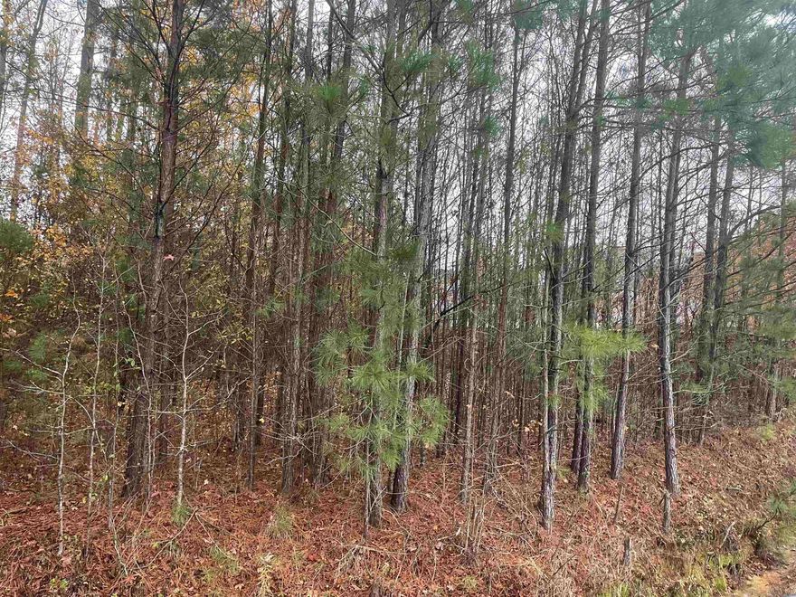 This is great area to have a hunting lodge to hunt the paper company. Property joins the paper company. The seller is contract and is willing to work with buyer to build a cabin on the land