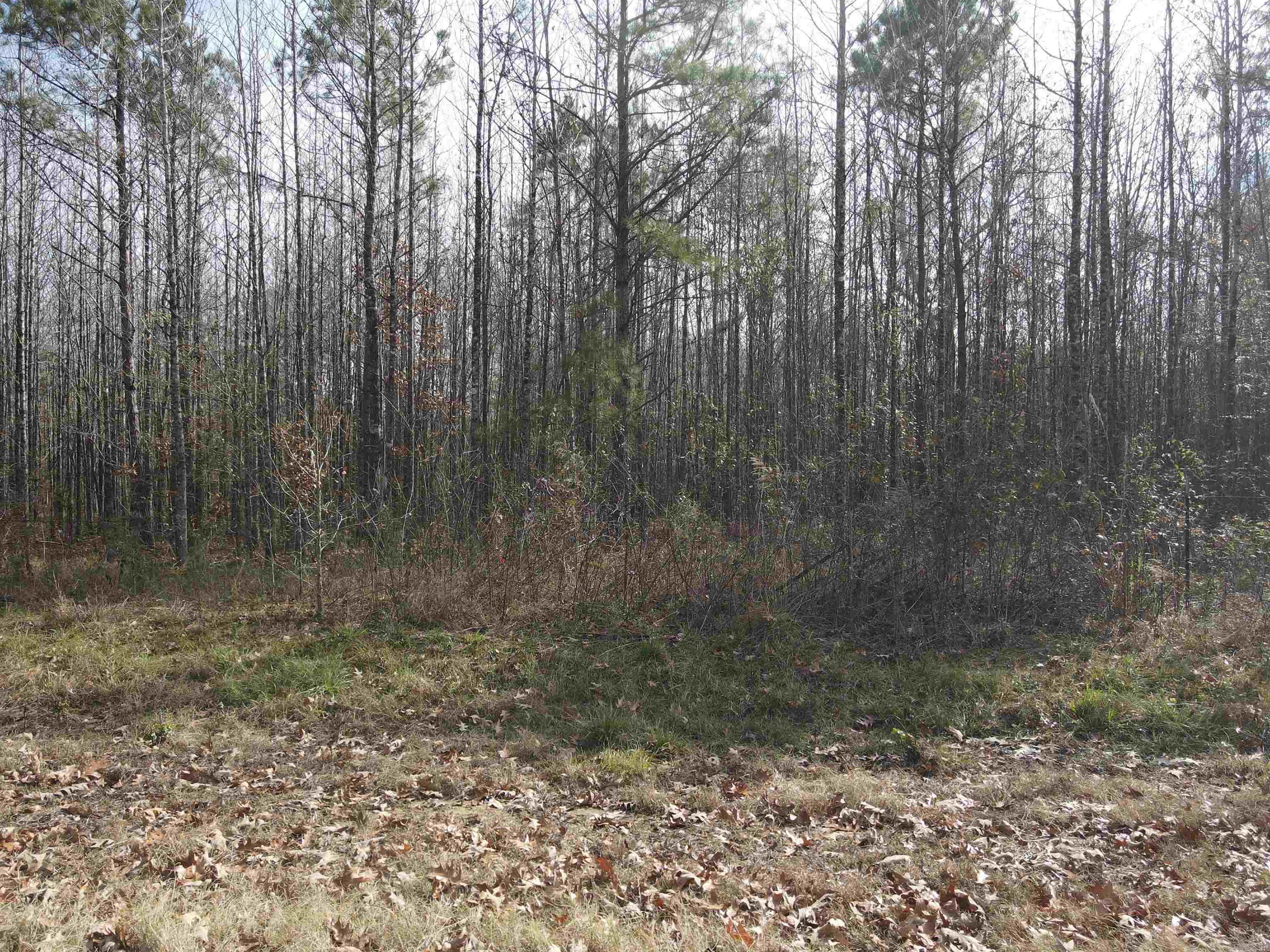 Not in Subdivision - Land