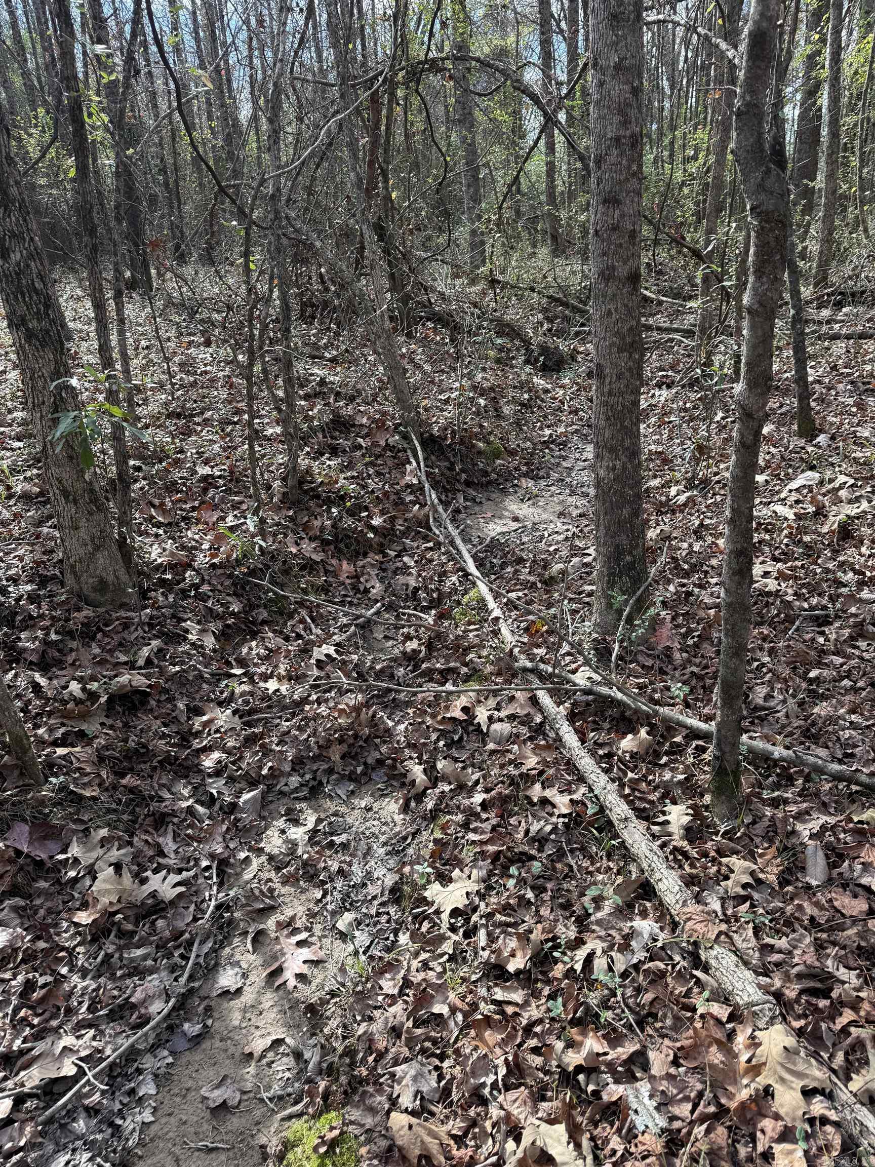 Not in Subdivision - Land