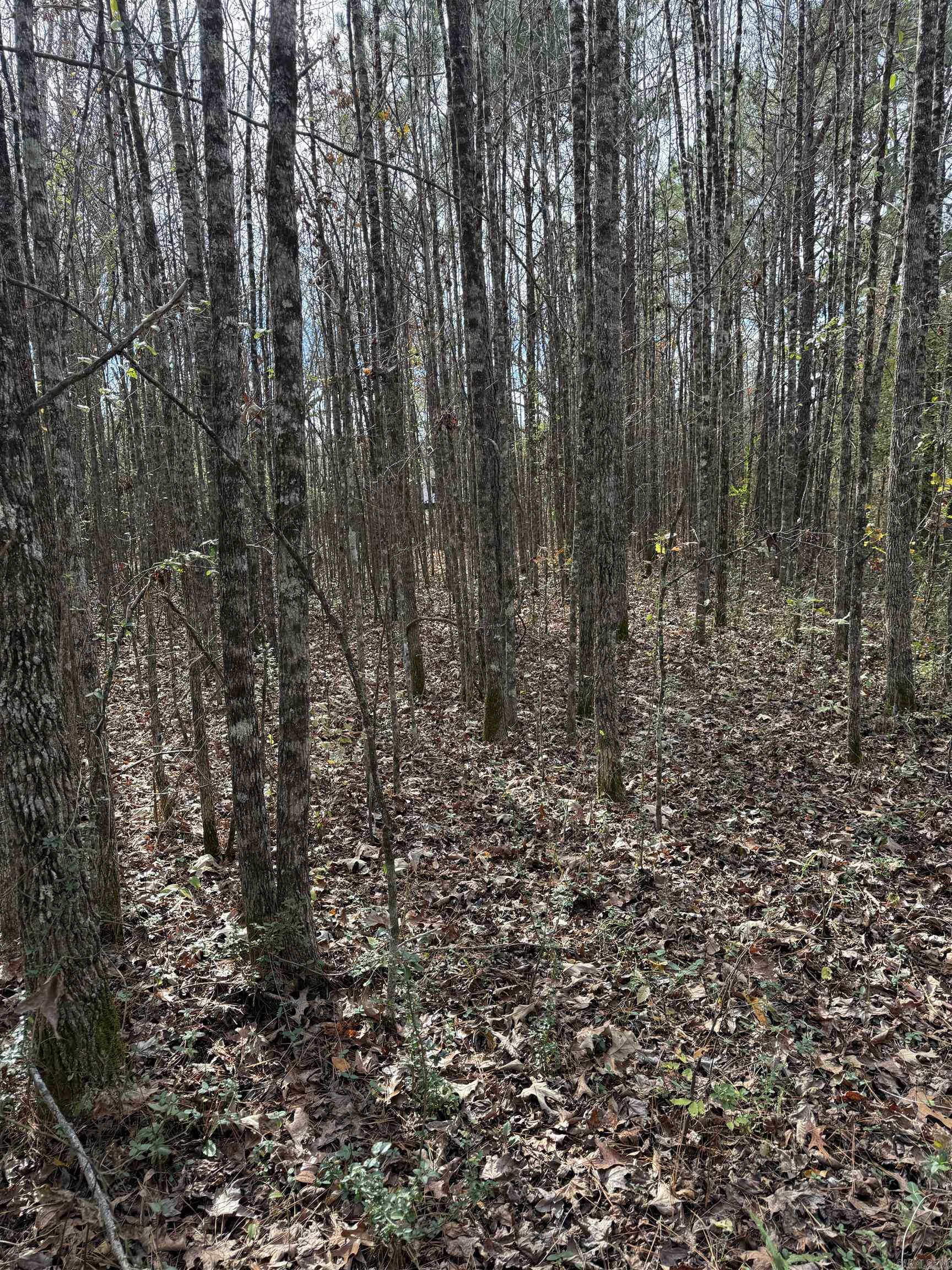 Not in Subdivision - Land