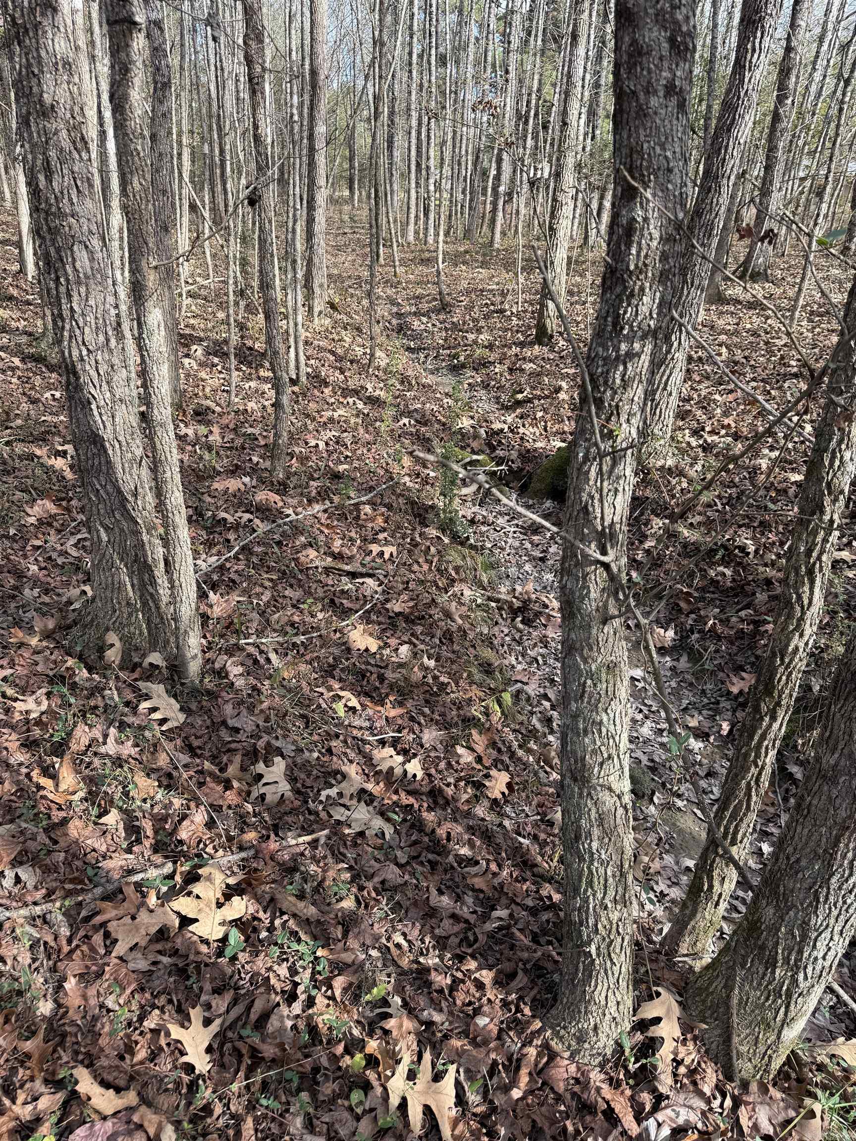 Not in Subdivision - Land