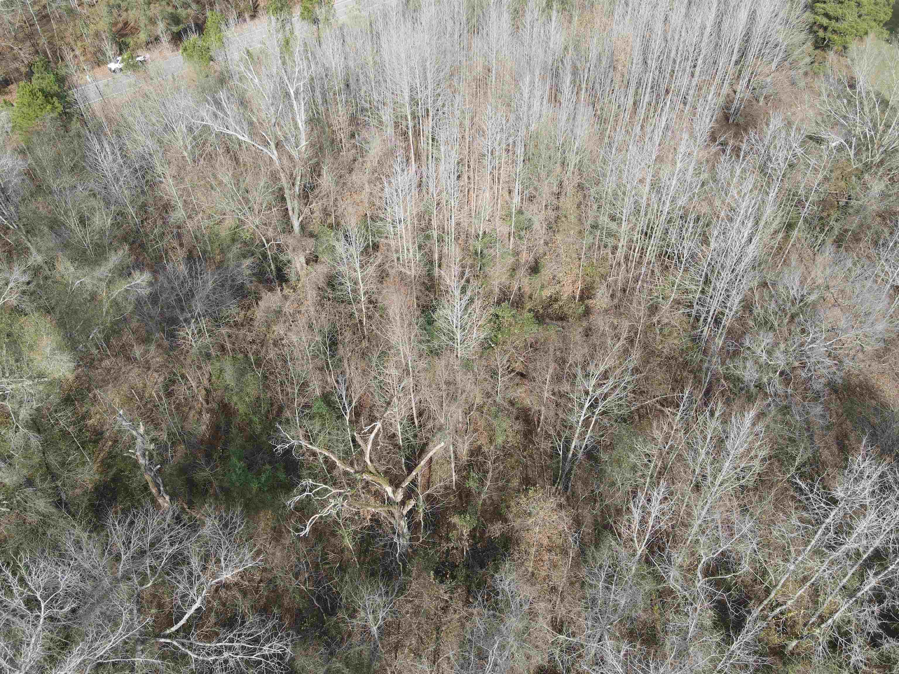 Not in Subdivision - Land