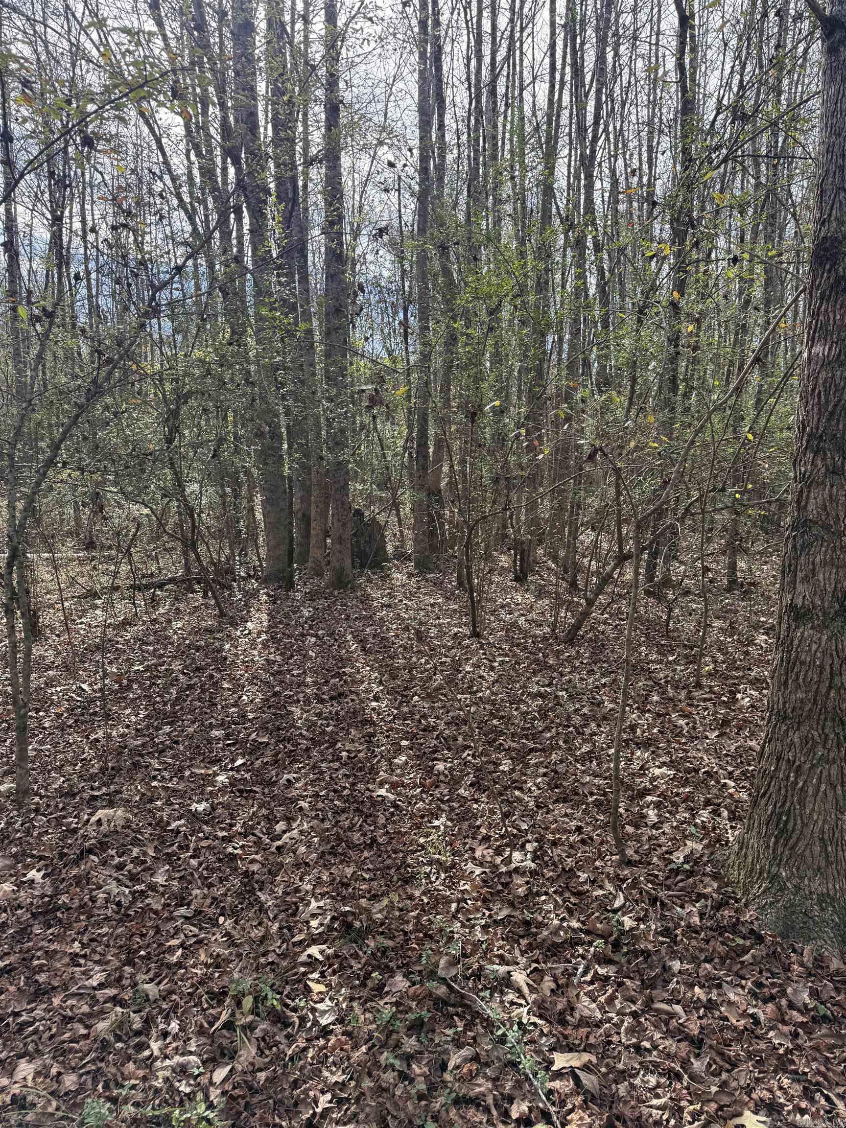 Not in Subdivision - Land