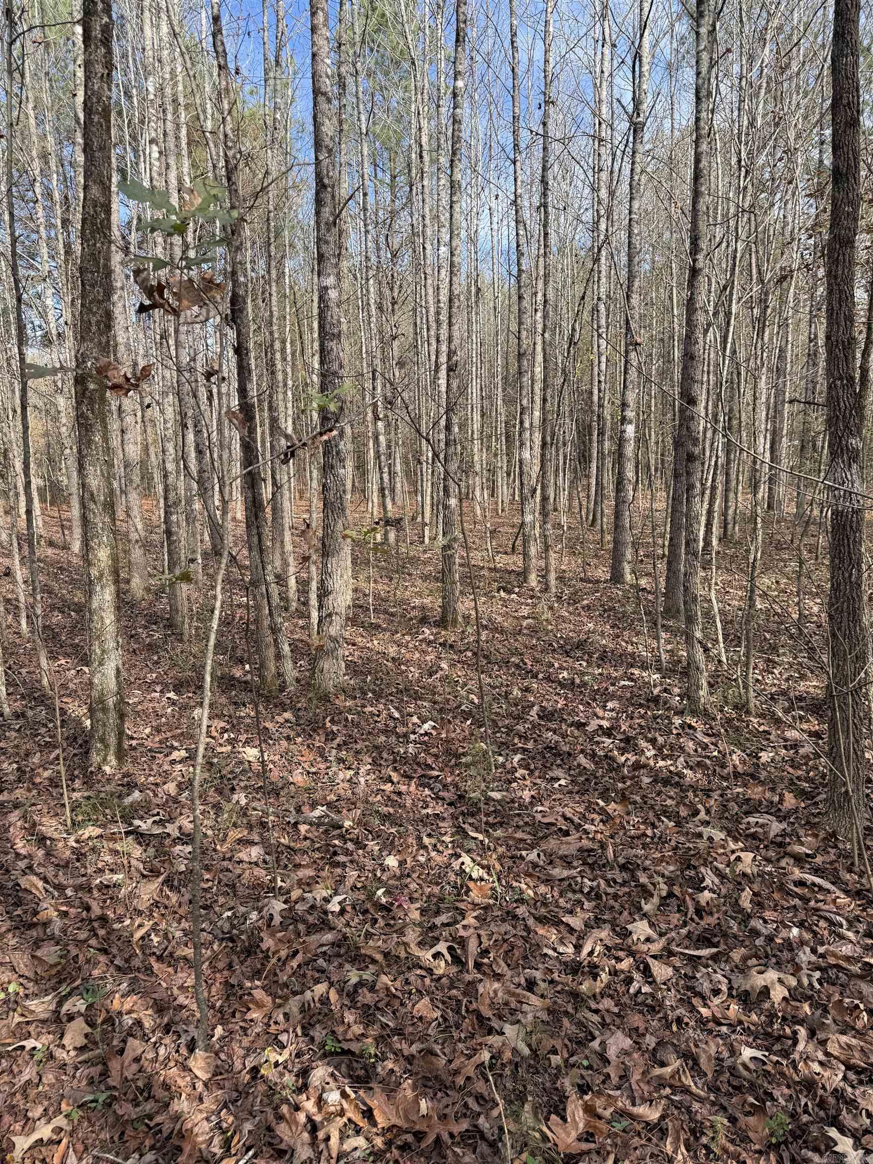 Not in Subdivision - Land