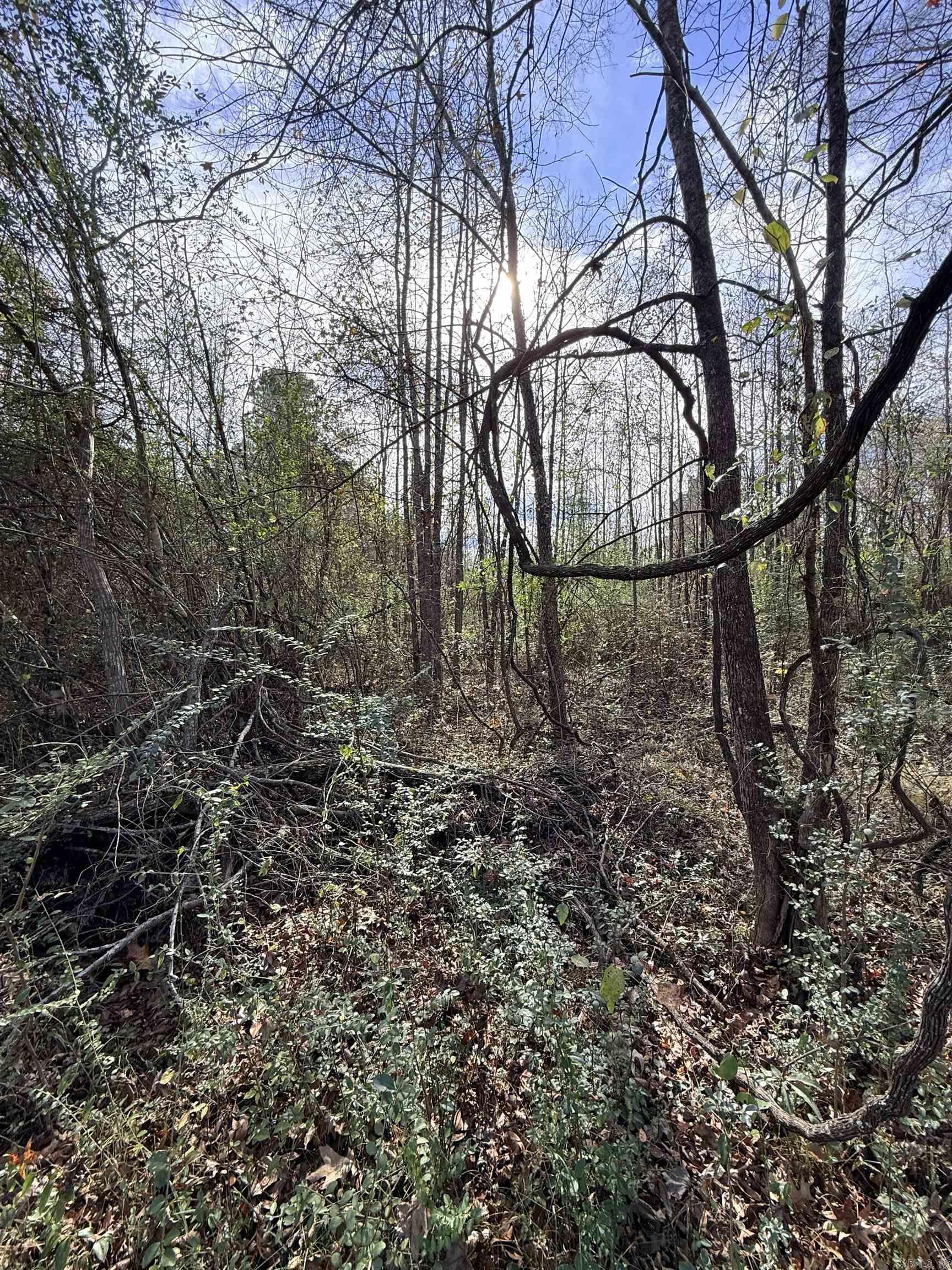 Not in Subdivision - Land