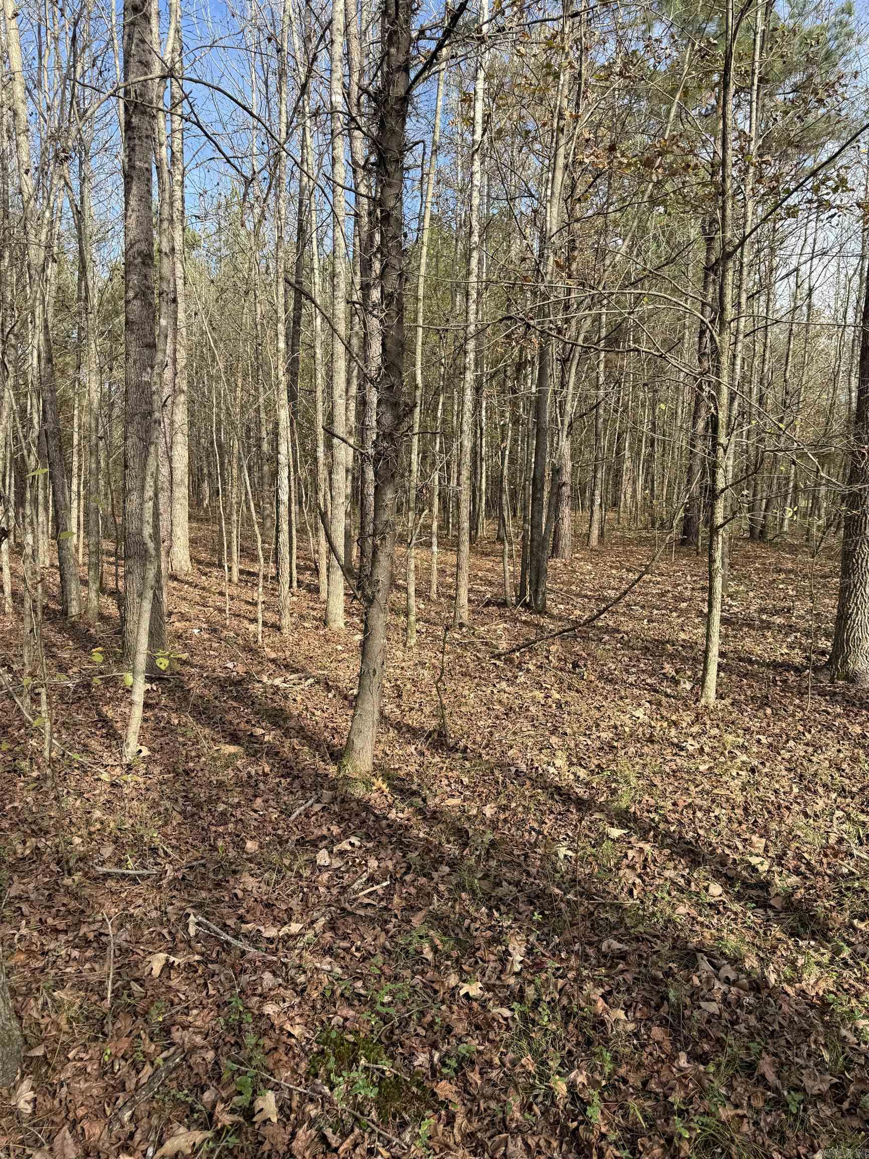 Not in Subdivision - Land