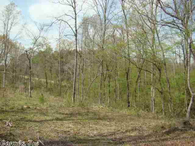 Long Branch Estates - Land