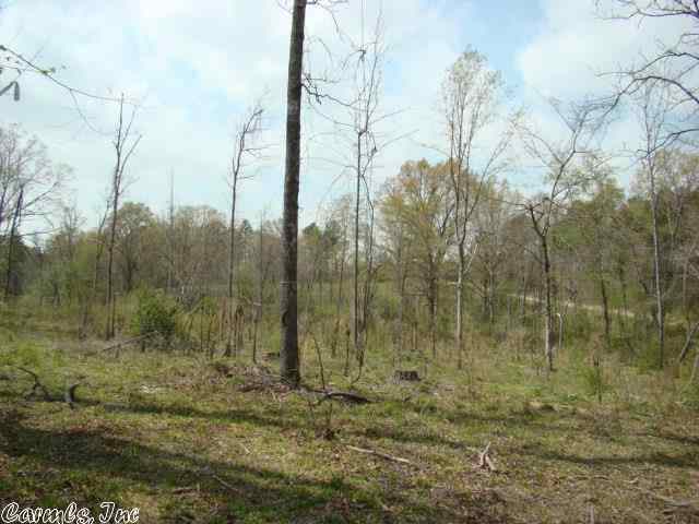 Long Branch Estates - Land