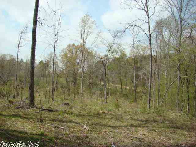 Long Branch Estates - Land