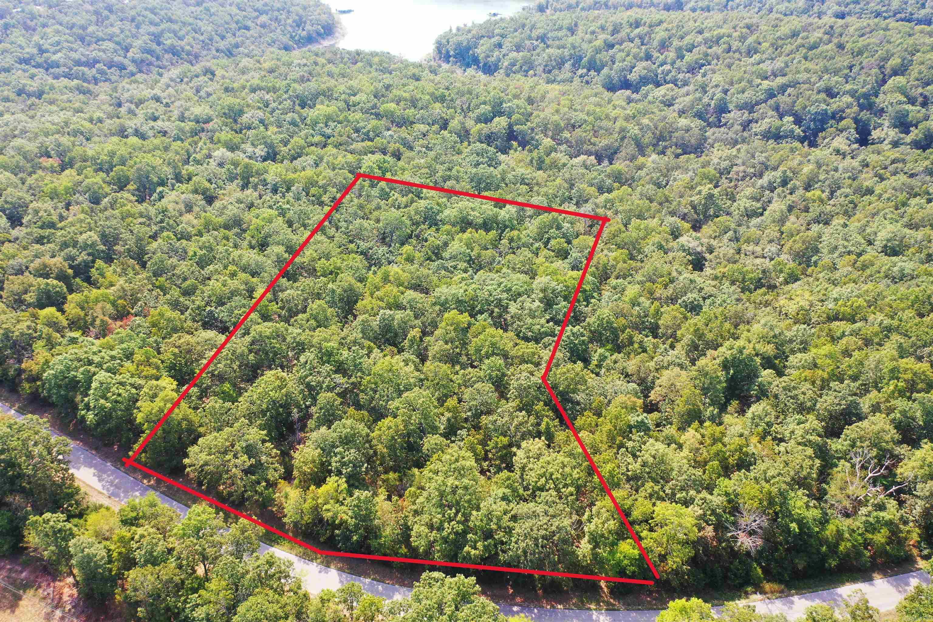 10.07 AC m/l Estate Lot bordering Corps land on Lake Norfork. A nature lovers dream with abundant wildlife to include deer ,turkey, eagles, and more. Domestic water line, sized for fire protection, available in roadway. High speed internet available. Property has had preliminary soil testing for septic system. Paved county road frontage which dead ends at lake. Lots sit well above lake, and well above the Corps flood zone. Protective covenants in place. Possible lake view with some clearing. Less than 10 minutes to Tracy Marina; 15 minutes to downtown Mountain Home.