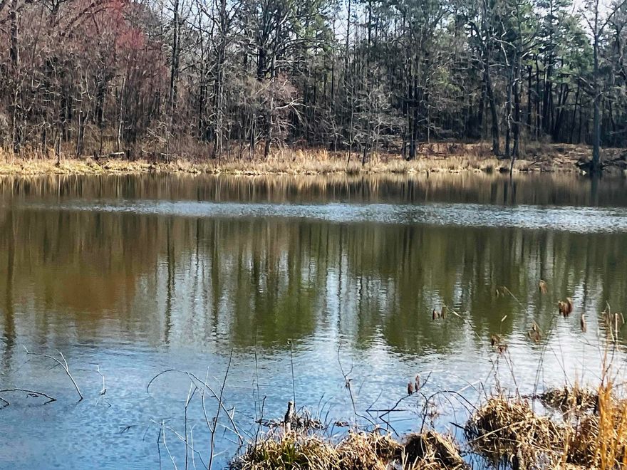 Beautiful piece of property up on Petit Jean Mountain. This property boast of four ponds, newer red metal barn, city water on property with many building sites. This property would make a great homestead or a great camp spot to build mutliple cabins. Let your imagination run with this 45 acres! MINERAL RIGHTS WILL CONVEY WITH SALE. A hunters delight! Lots of ducks, game and fish in the ponds! What a unique piece of property with lots of tranquility! No Restrictions.