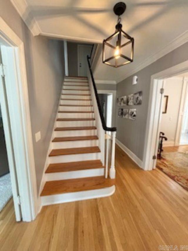 MELLORS 5TH - Residential