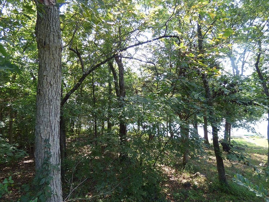 Great Lakefront Lot with a Gentle Slope to the Water. This would be a great building site with a gentle slope to the waterfrontage. Enjoy the peacefulness of Lake Cherokee with the ability to kayak, fish or swim without worrying about anyone creating a wake.