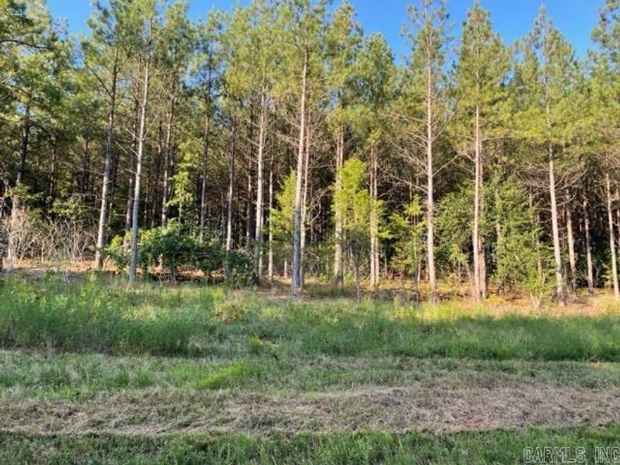 Beautiful building lot in Conway Public School system. Mostly cleared.
