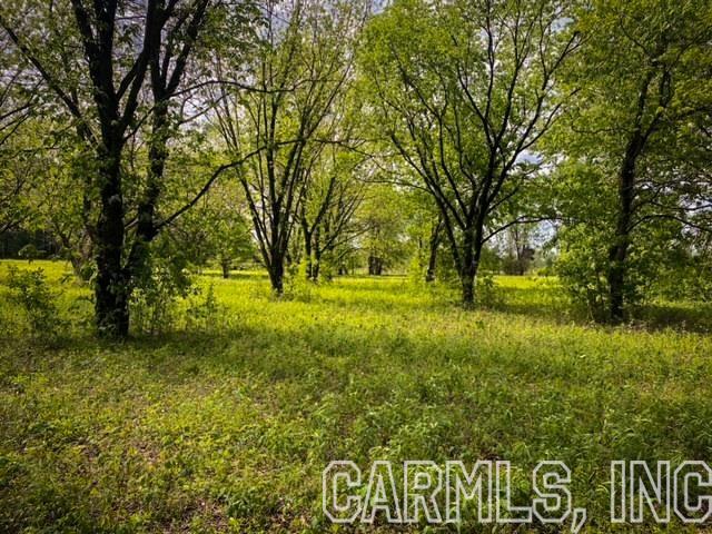 Own 4 beautiful acres right on the outskirts of Conway. You can have the comfort and peace of rural living with the amenities of town just a few miles away. Paved road access all the way to the property. This property would be perfect for hobby or self-sustenance farming. There are around 20 mature pecan trees on the property, as well as mature hardwoods and other fruit bearing trees scattered through-out. With loamy, river-bottom soil on the whole property and plenty of open space, this property is ideal for gardening or grazing. The property is flat and has a good mixture of shade and open ground for building. Utilities are at the road.