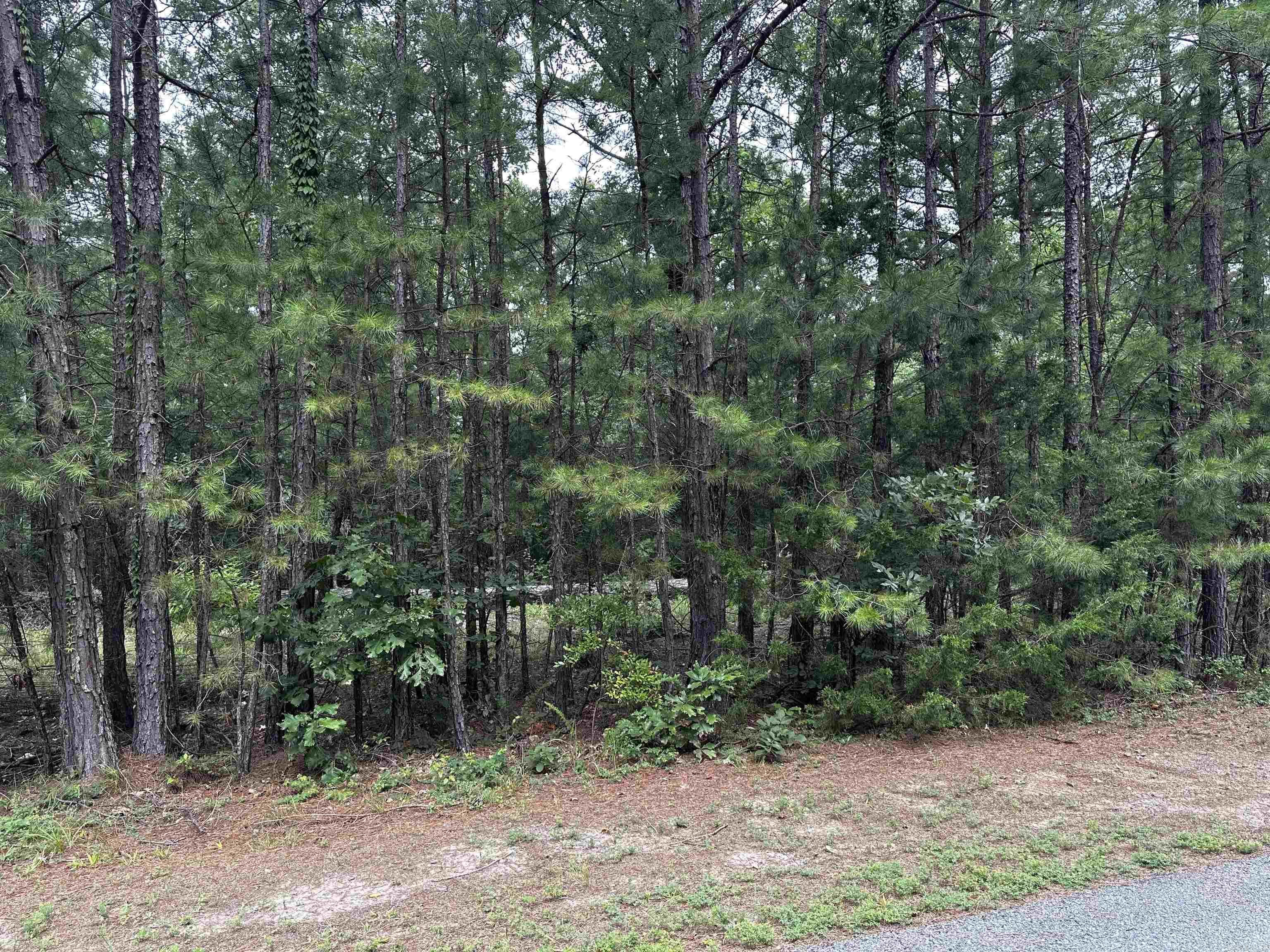 Great Neighborhood to build your dream home at the lake. Undergrounds utilities already in place! Mineral rights do not convey.