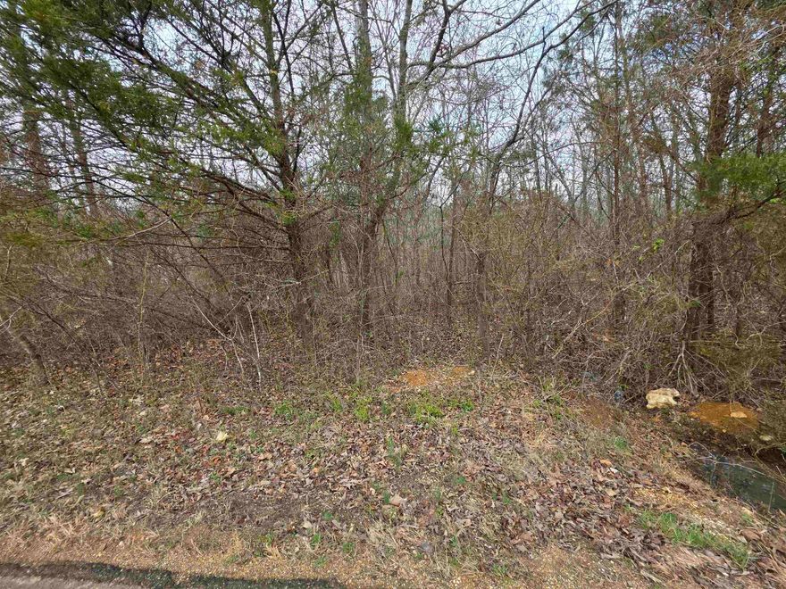 Nice lot on Summit Ridge Rd. One of the main throughfares in Ozark Acres. This lot has great road frontage and a gentle downslope down to a small valley and powerline easement. Power and water are available at the street. Schedule some time to ride out and get a look at this lot and pick your spot to build you vacation cabin, a winter home or even your forever home. Ozark Acres has 2 lakes and is located just down the road from Ole Hardy town for great shopping, dining and entertainment. Not to mention the beautiful Spring River. There are 5 other lots available as well all right next to each other.