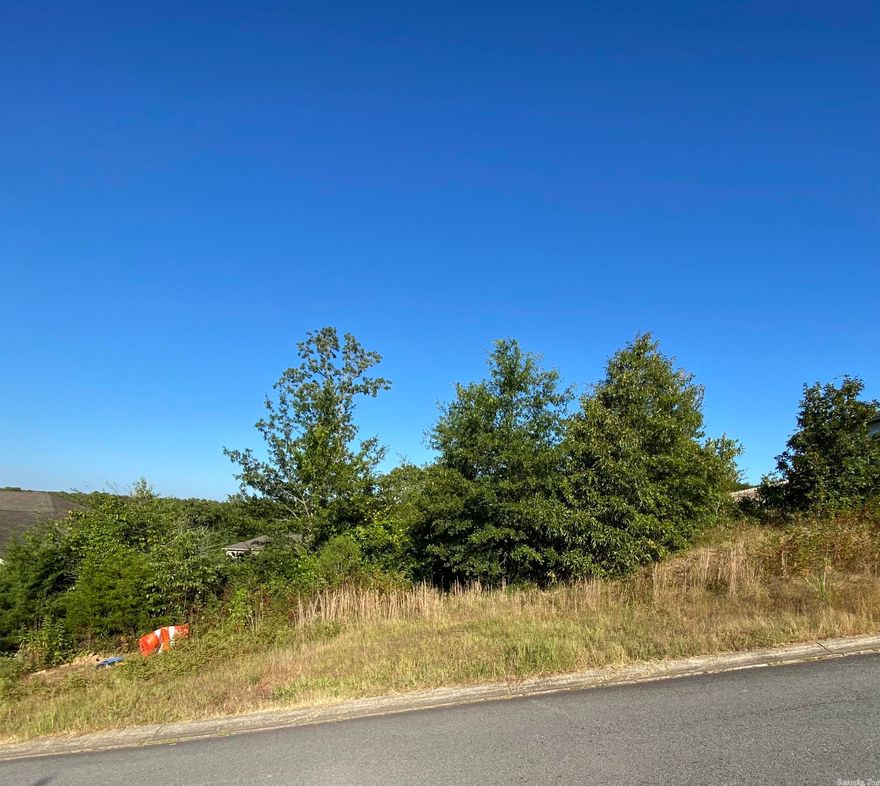Residential Lot in the Cabot School District located in Austin, AR.  Lot is in a desired neighborhood.