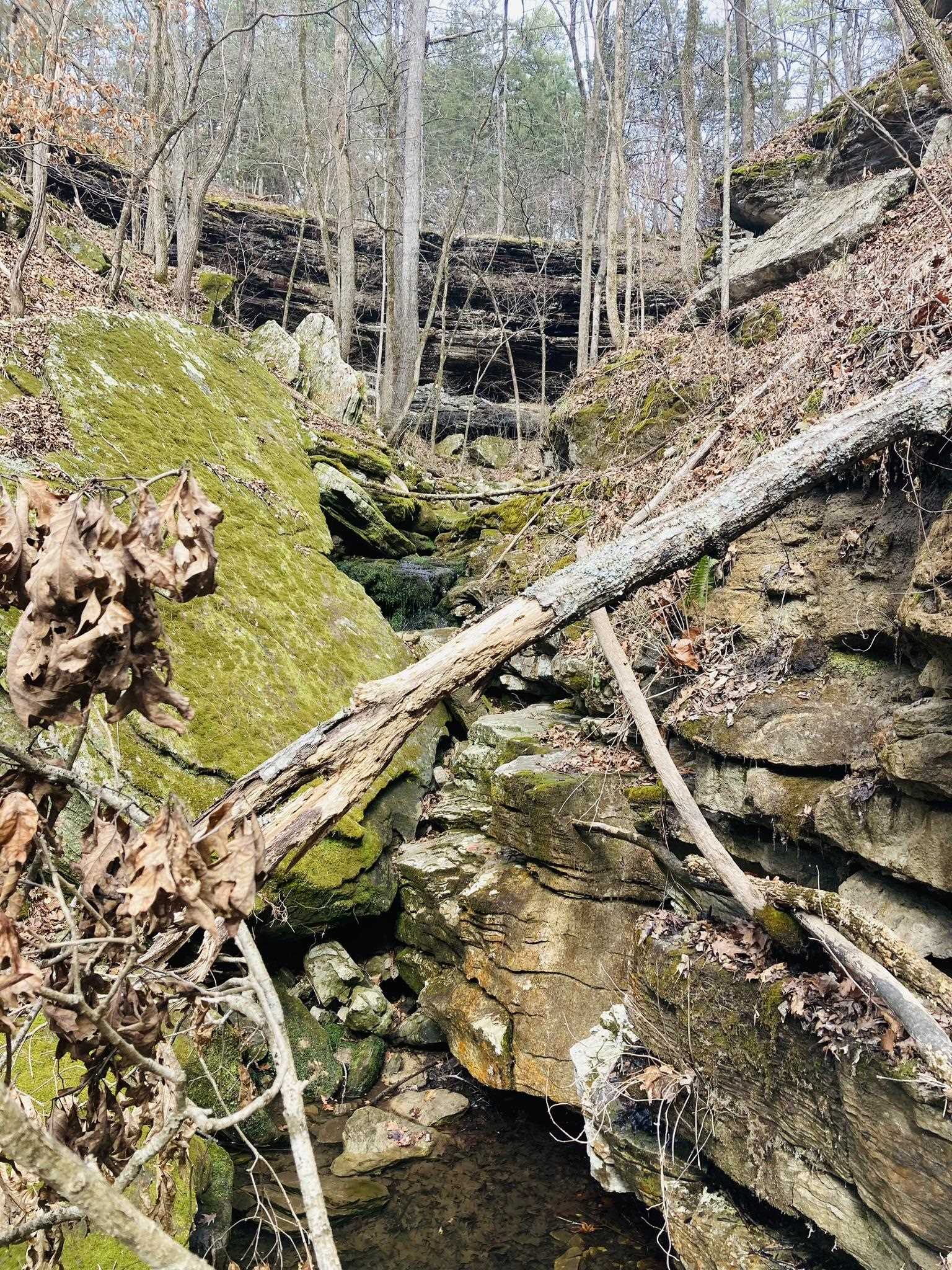 Springs, Cave, Trails, and Bluffs — 40 Acres of Natural Beauty in the Ozarks! Looking for a unique property in the heart of the Ozark Mountains? This 40 acres of land features some of the most fascinating rock formations in North Arkansas — plus natural springs, a cave, scenic trails, and dramatic bluffs that make it truly one of a kind. Located just a short drive from the White River and Norfork Lake, you’ll be close to fishing, boating, and outdoor recreation. Additionally, it’s only minutes from Calico Rock and 20 minutes from Mountain Home, Arkansas. Electricity is available nearby, and the property is accessible via a private road off a county road. Whether you're searching for the perfect getaway to enjoy nature, planning to build a secluded cabin in the Ozarks, or scouting land for your dream retirement home, this property checks all the boxes. Don't miss this unique opportunity to own land in the beautiful Arkansas Ozarks.