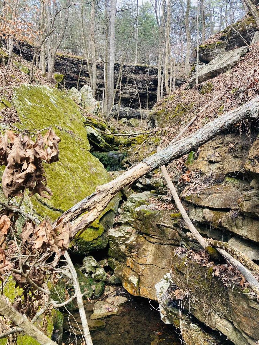 Springs, Cave, Trails, and Bluffs — 40 Acres of Natural Beauty in the Ozarks!  Looking for a unique property in the heart of the Ozark Mountains? This 40 acres of land features some of the most fascinating rock formations in North Arkansas — plus natural springs, a cave, scenic trails, and dramatic bluffs that make it truly one of a kind. Located just a short drive from the White River and Norfork Lake, you’ll be close to fishing, boating, and outdoor recreation. Additionally, it’s only minutes from Calico Rock and 20 minutes from Mountain Home, Arkansas.  Electricity is available nearby, and the property is accessible via a private road off a county road. Whether you're searching for the perfect getaway to enjoy nature, planning to build a secluded cabin in the Ozarks, or scouting land for your dream retirement home, this property checks all the boxes. Don't miss this unique opportunity to own land in the beautiful Arkansas Ozarks.