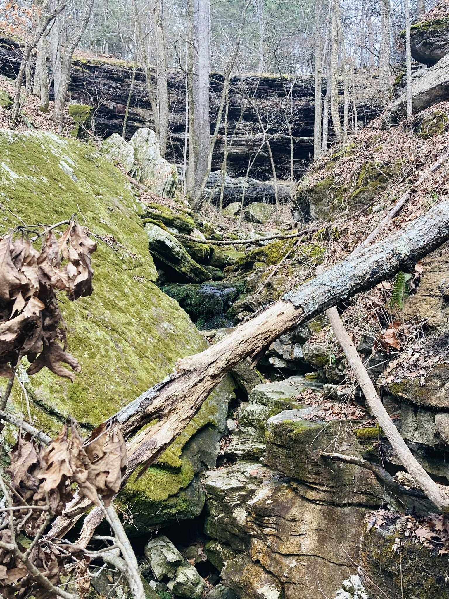 Metes & Bounds - Land