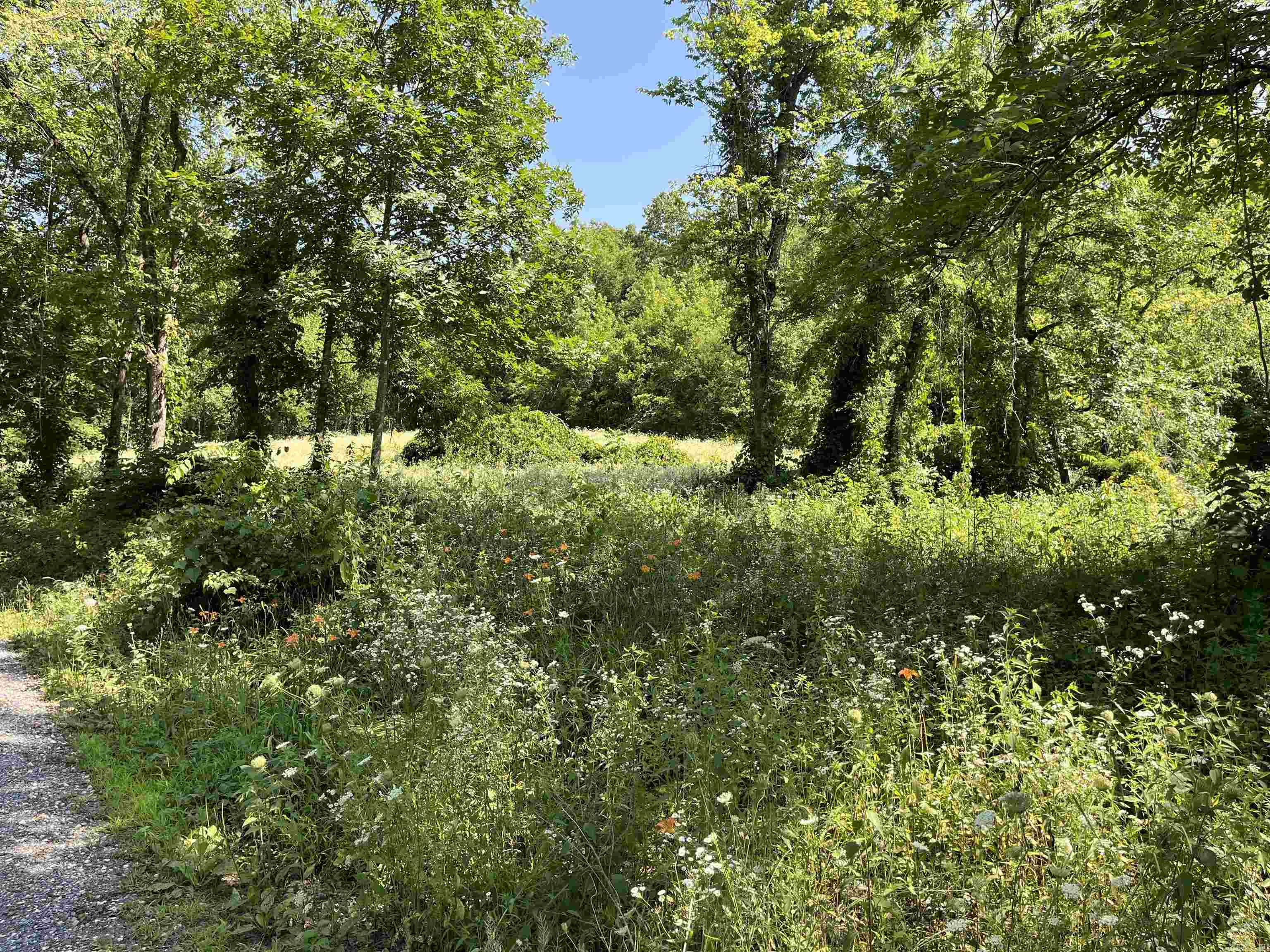 Not in Subdivision - Land