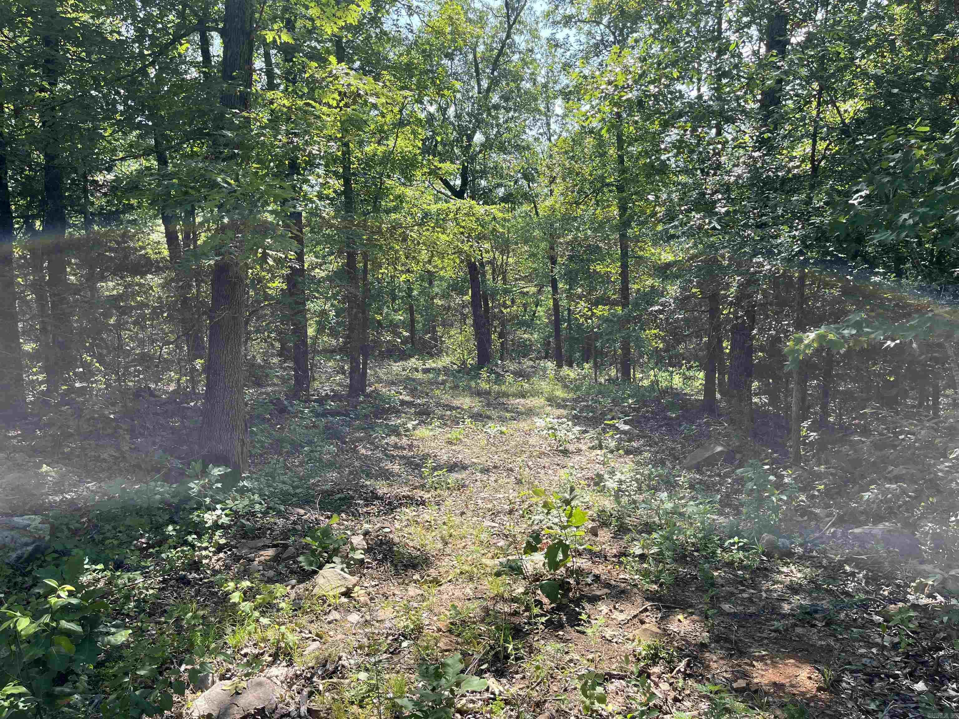 This tract has a clearing at the frontmost part (which Borders Wiley's Cove Road). It then slopes up through a beautiful stand of hardwoods to a scenic plateau, perfect for a cabin or residence. This tract is extremely secluded to be located so close to Marshall, Leslie, the Buffalo River, the Red River, and all of the area's many attractions. Utilities and water are readily available.