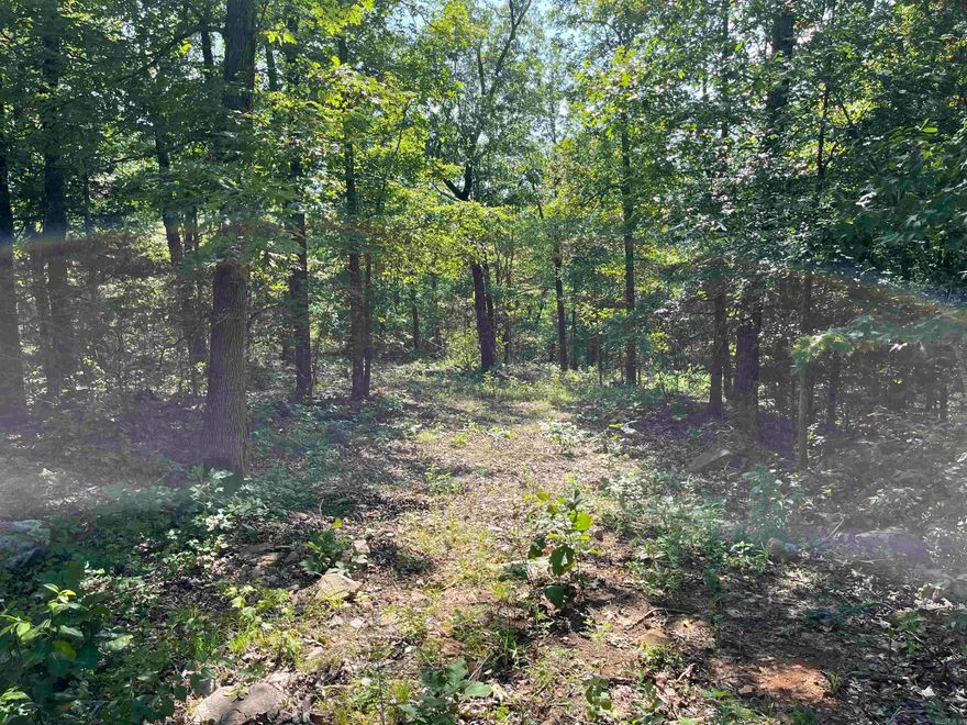 This tract has a clearing at the frontmost part (which Borders Wiley's Cove Road). It then slopes up through a beautiful stand of hardwoods to a scenic plateau, perfect for a cabin or residence. This tract is extremely secluded to be located so close to Marshall, Leslie, the Buffalo River, the Red River,  and all of the area's many attractions. Utilities and water are readily available.