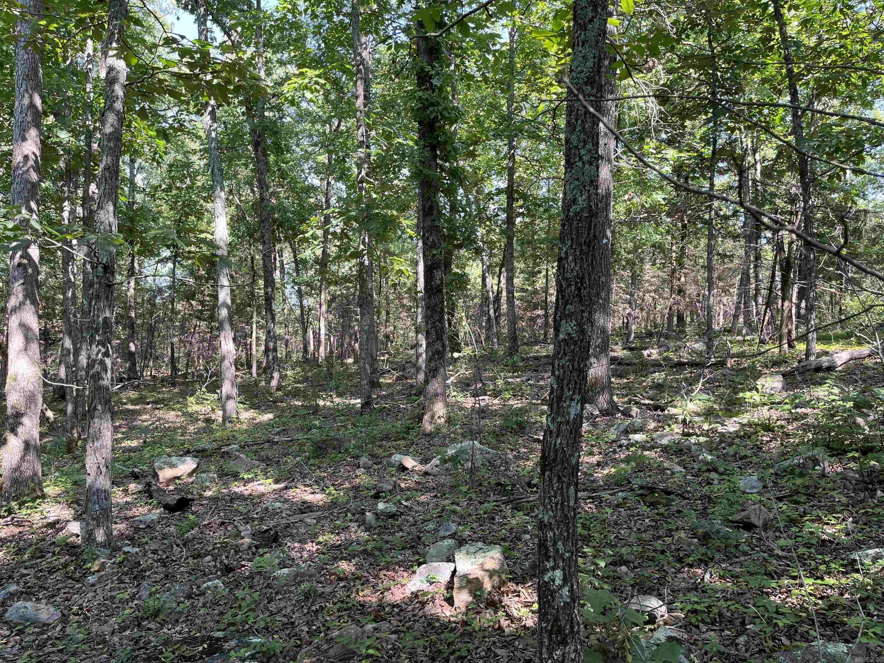 Not in Subdivision - Land