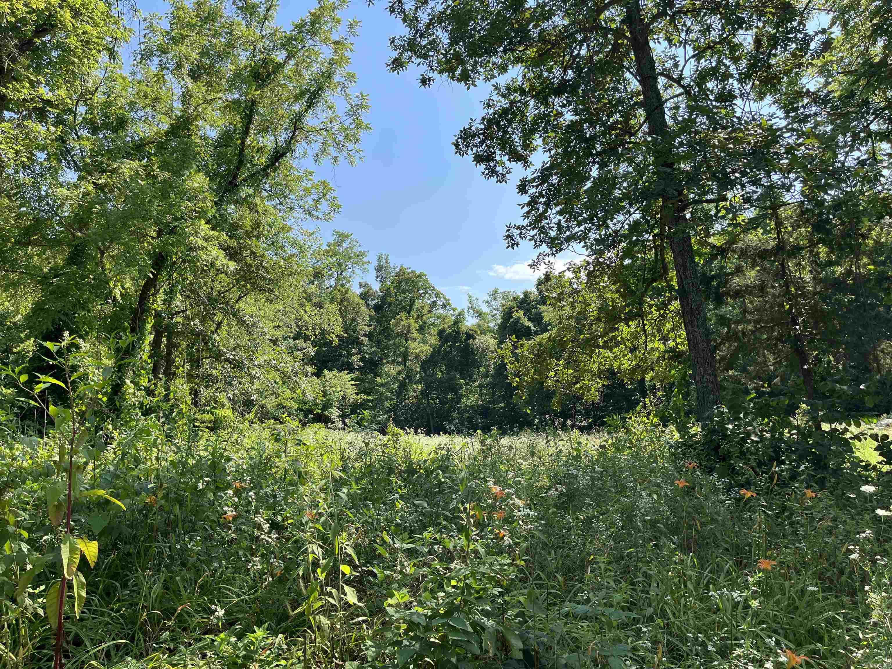 Not in Subdivision - Land