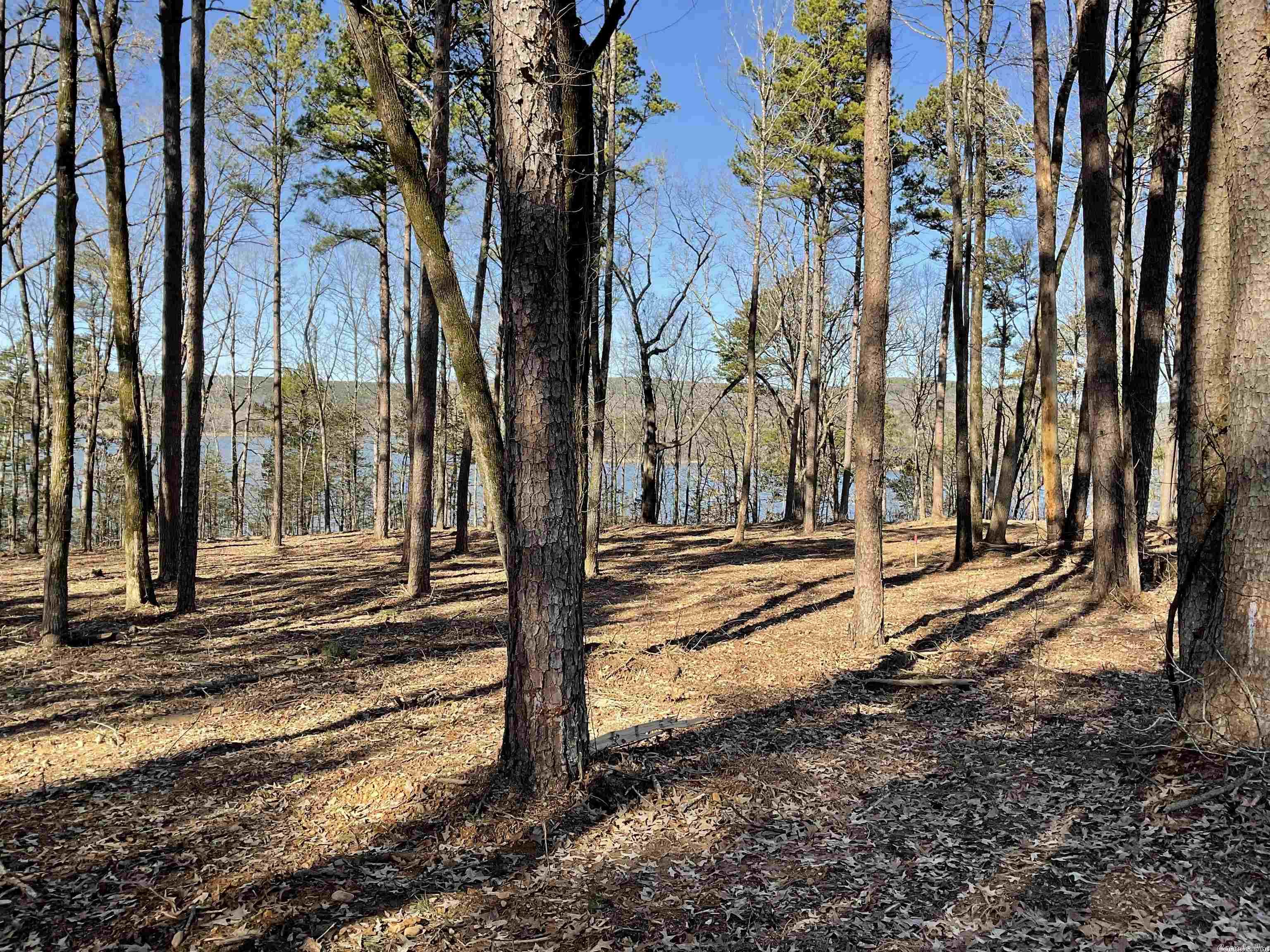 CRYSTAL BROOKE SHORES - Land