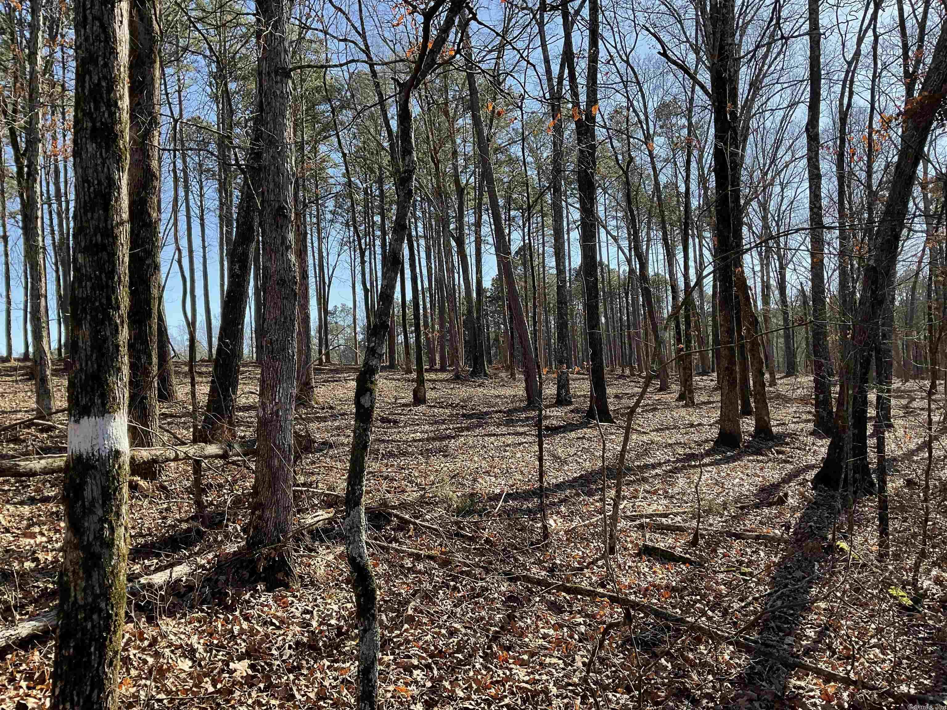 CRYSTAL BROOKE SHORES - Land