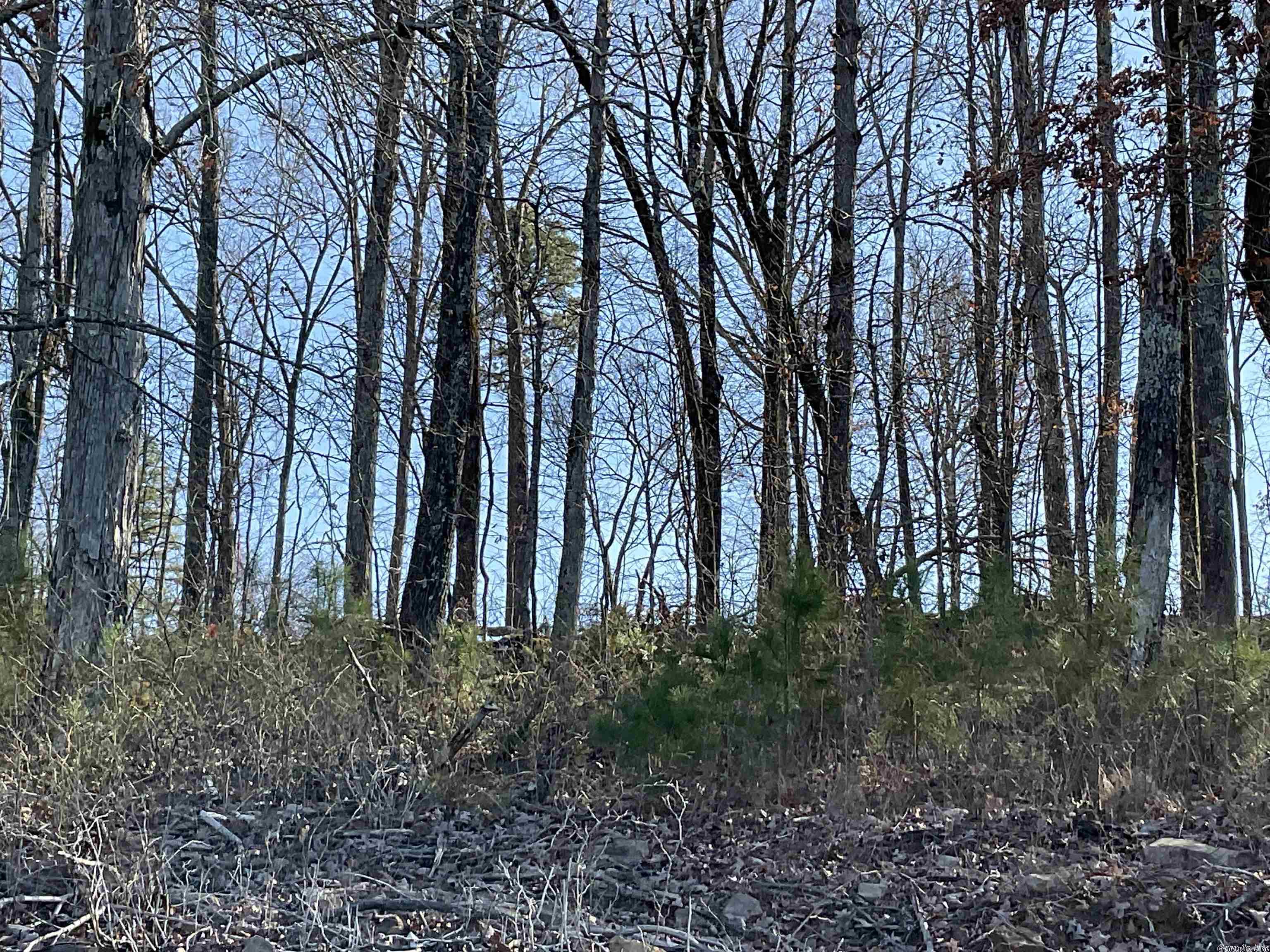 CRYSTAL BROOKE SHORES - Land