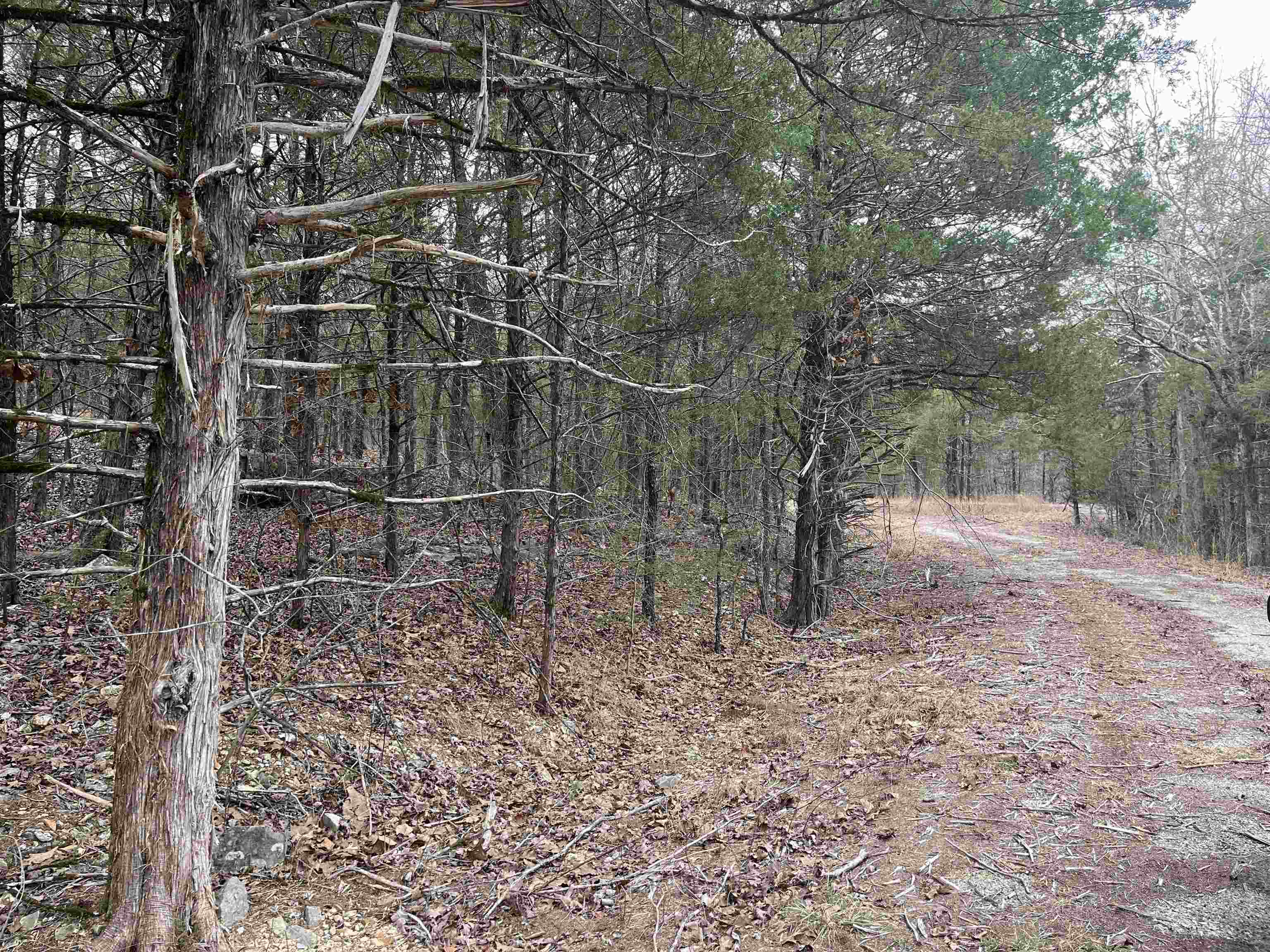 SAN ILDEFONSO - Land