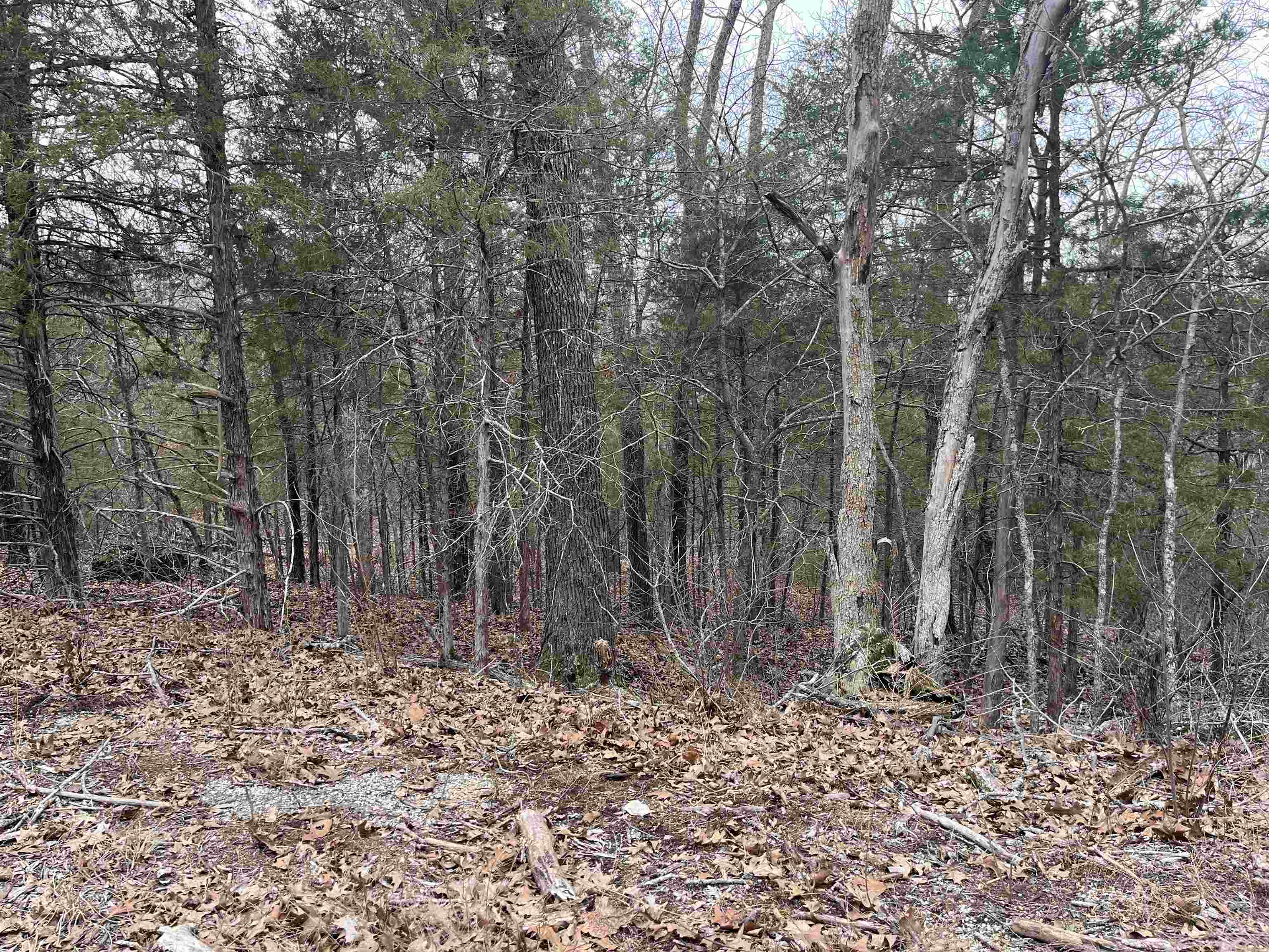 SAN ILDEFONSO - Land