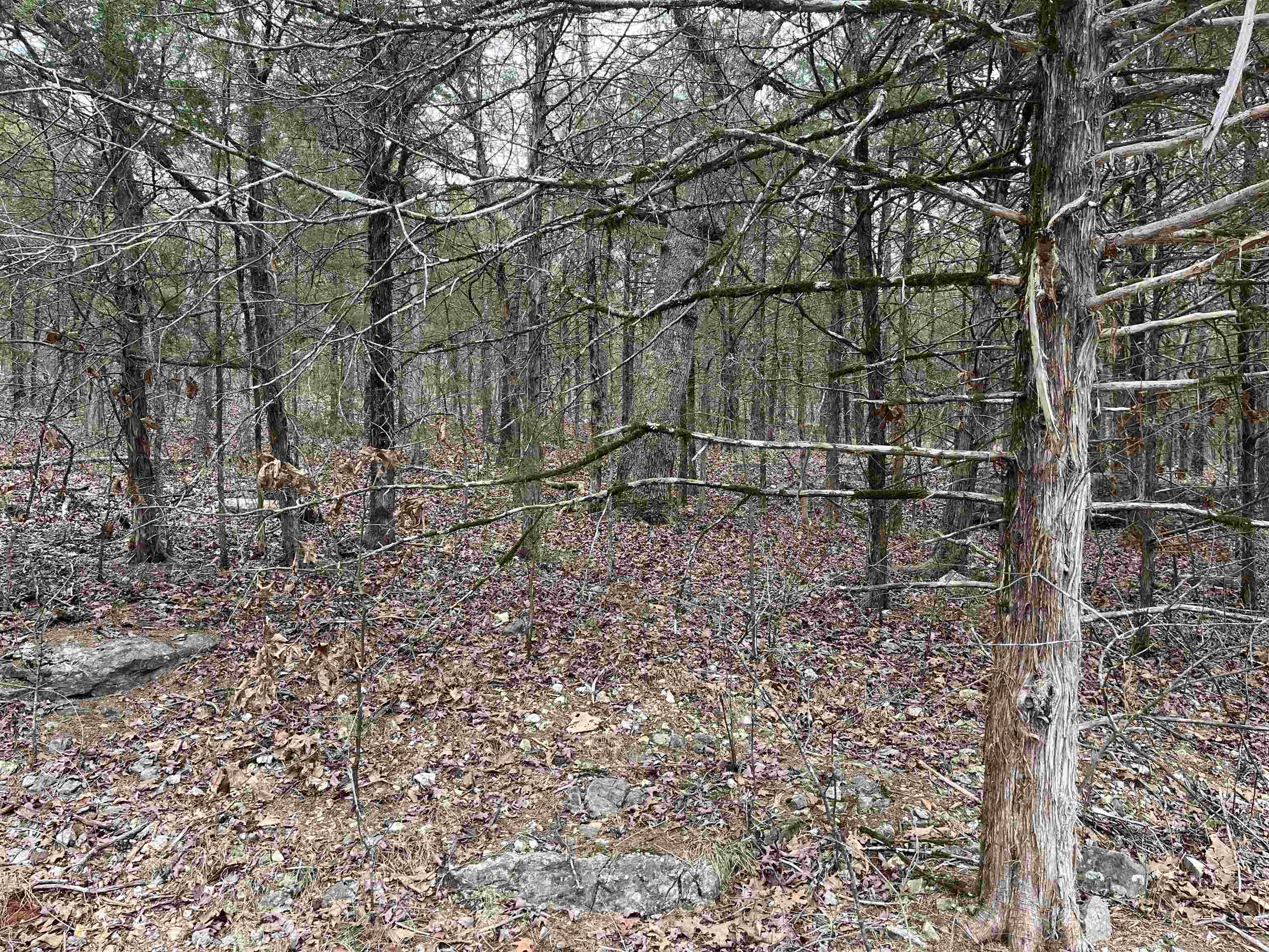 SAN ILDEFONSO - Land