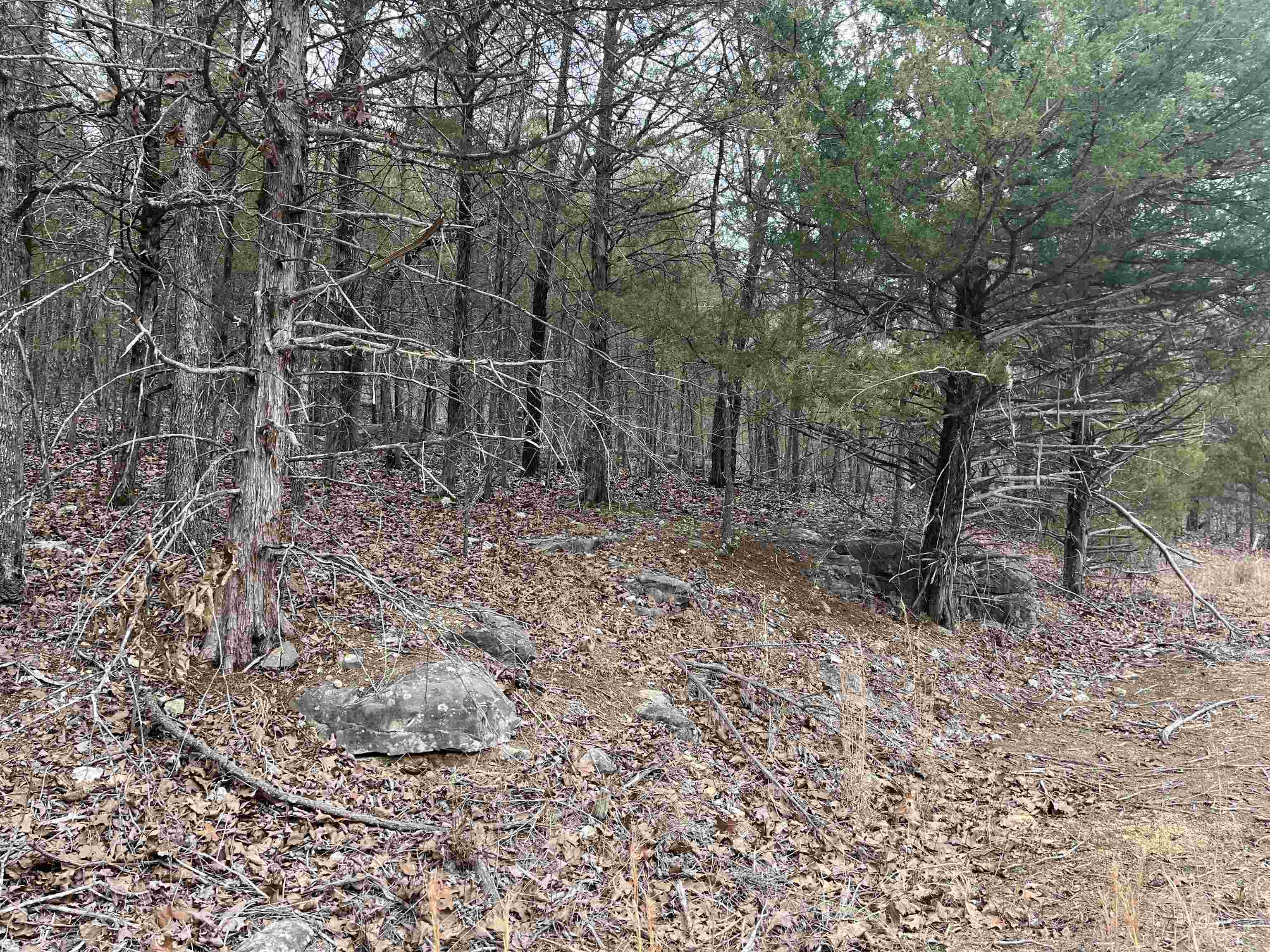 SAN ILDEFONSO - Land