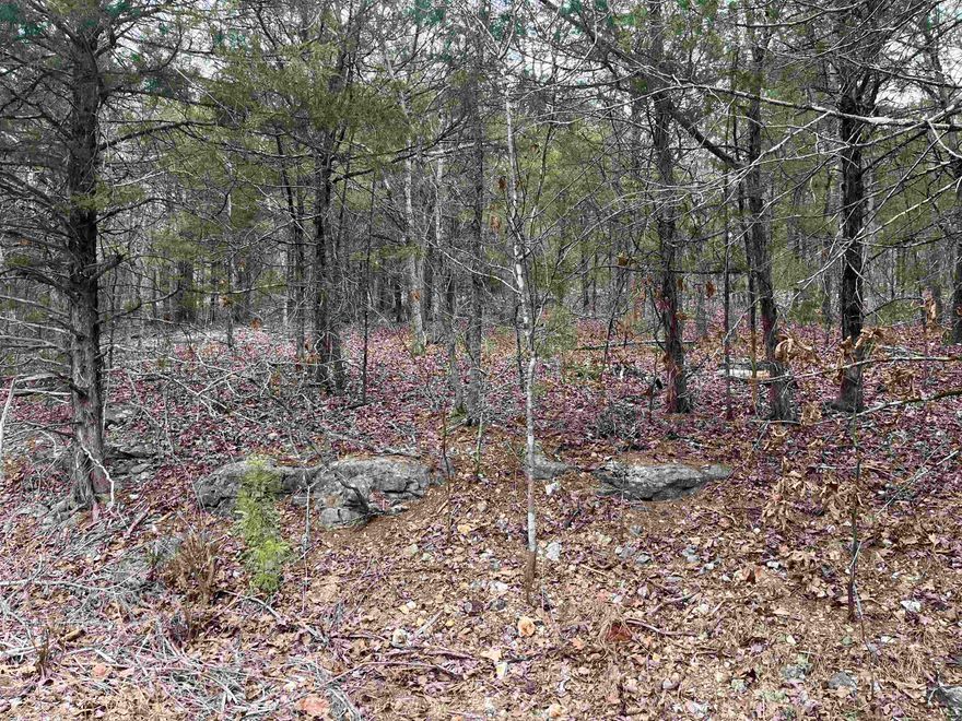 Here is your chance to purchase 4 fairly level lots tucked away inside a cul-de-sac. One of the lots backs up to Cherokee Road. These lots are just up the hill from the end of a cove on beautiful Lake Omaha. A wet weather creeks runs along the back of one lot and into Lake Omaha.