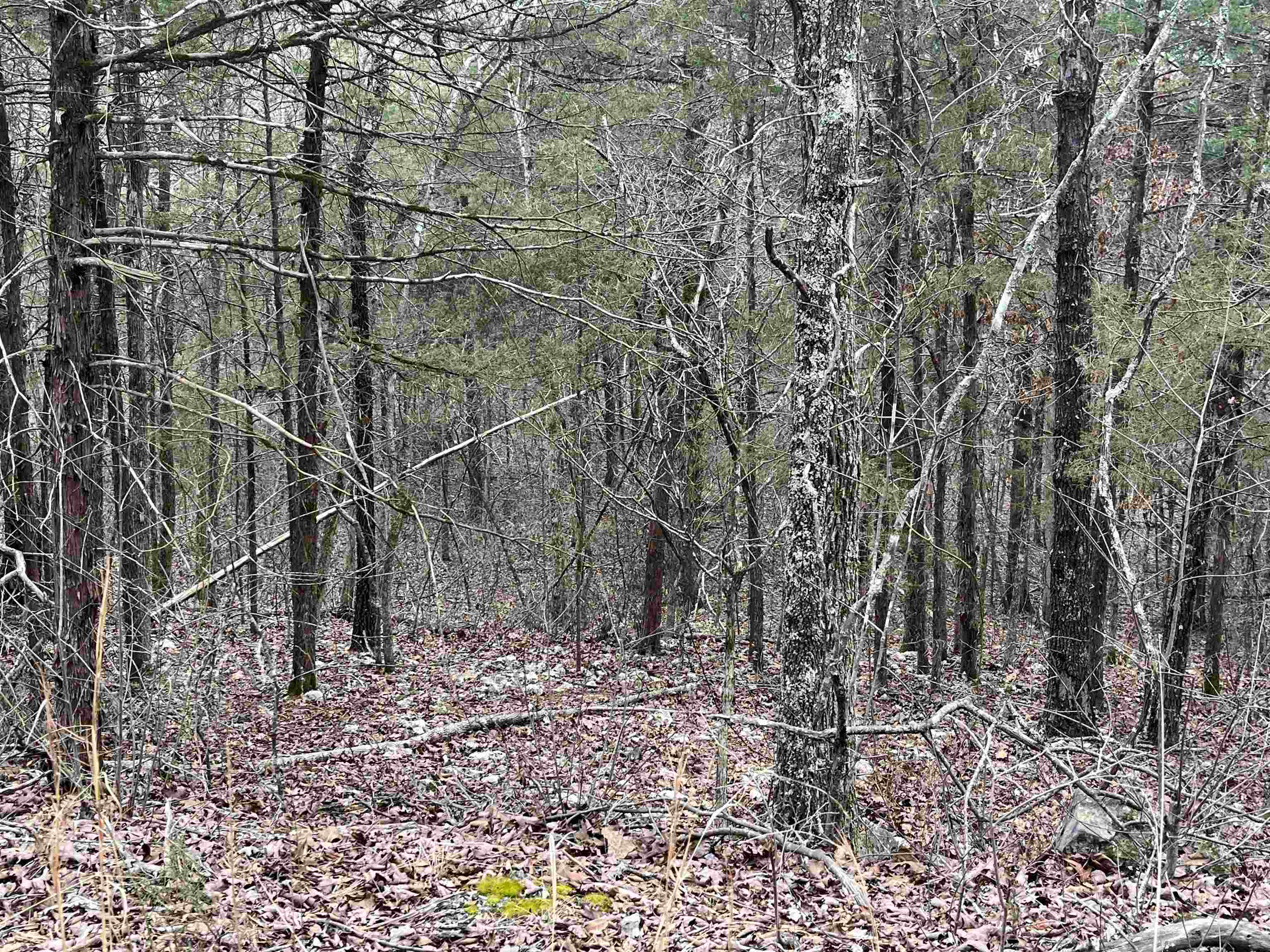 SAN ILDEFONSO - Land