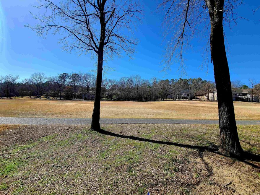 This prime lot boasts an enviable location right at the 6th Tee Box of the prestigious Balboa Golf Course, offering unparalleled views and convenient access to the greens. Mostly level with utilities at the street and situated for maximum convenience, this lot provides easy entry and exit through the Balboa Gate, Danville Gate and East Gate. Imagine strolling to the clubhouse for a round of golf, enjoying a leisurely afternoon at the marina, or indulging in fine dining and entertainment options just moments away. With open vistas stretching before you, this lot promises not just a home, but a lifestyle—an opportunity to immerse yourself in the beauty of nature while enjoying the amenities of a thriving community. Build your dream home here and experience the perfect blend of luxury, recreation, and relaxation that Hot Springs Village has to offer. Don't miss out on this rare chance to make your mark in one of Arkansas's most coveted locations. Embrace the tranquility, embrace the lifestyle—make this prime lot yours today.