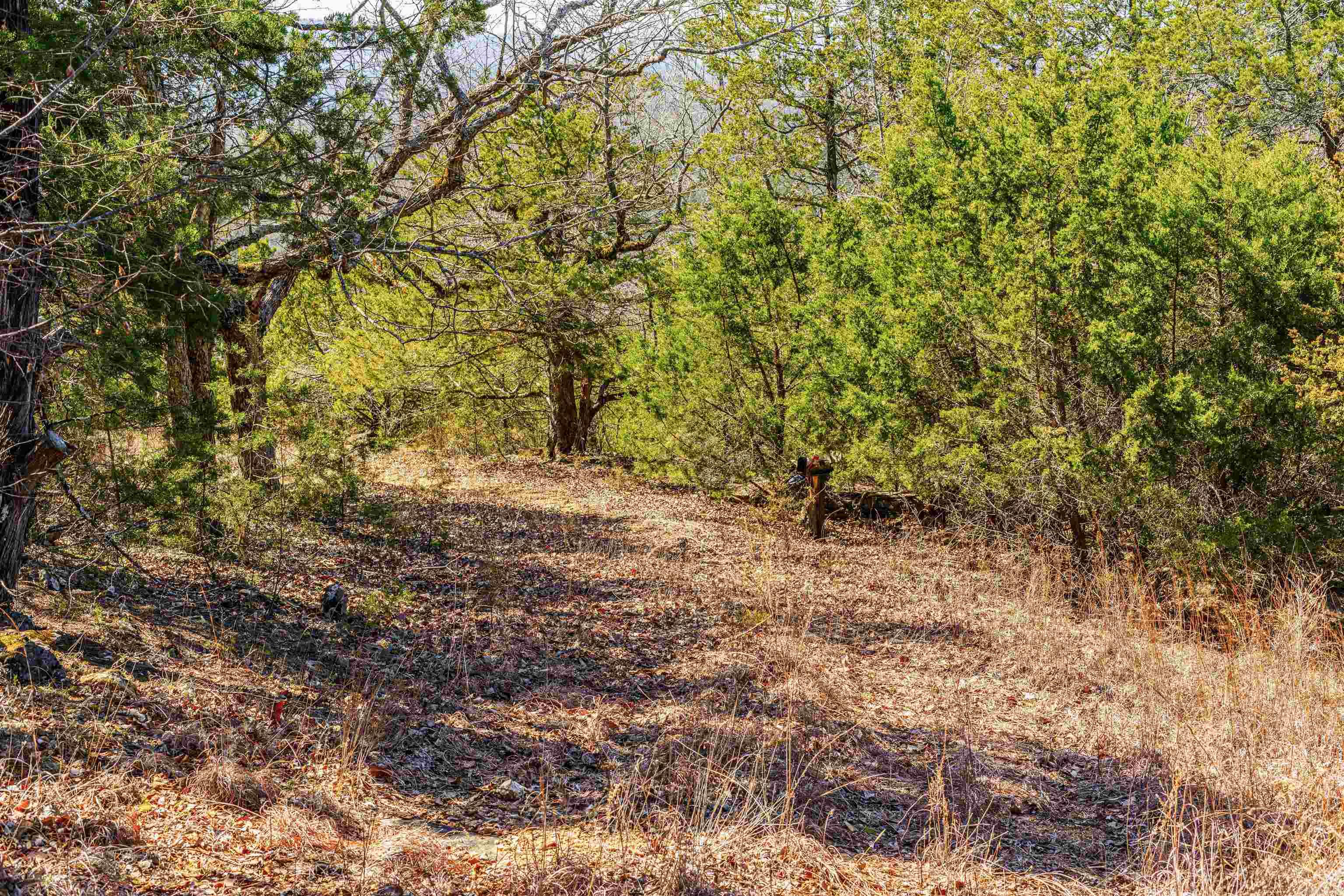 Not in Subdivision - Land